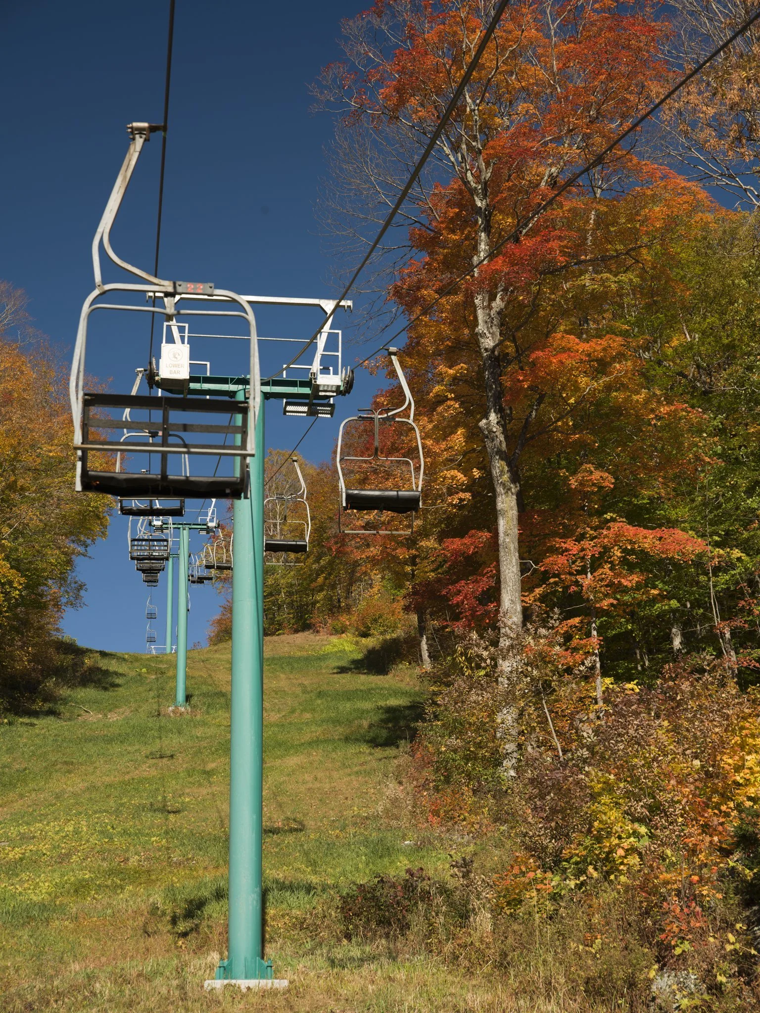 Empty chairs climbing through the color.