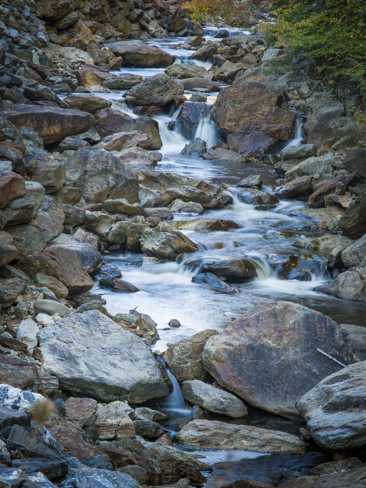 The stream braids itself through the rocks.