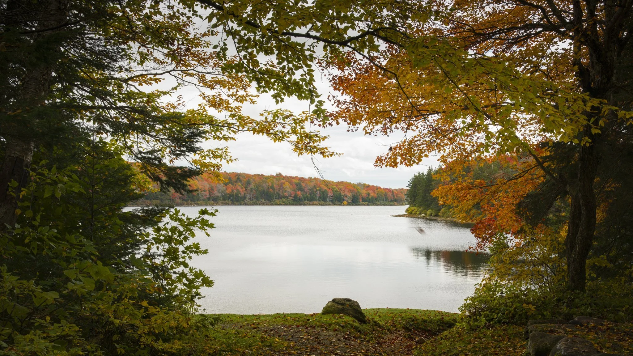 The lake, glimpsed through autumn branches.