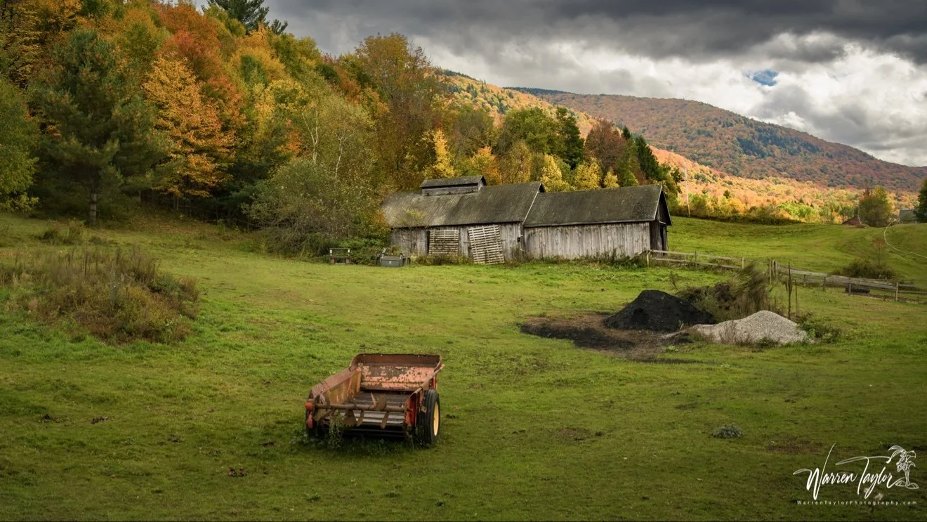 The workhorses of a Vermont farm.