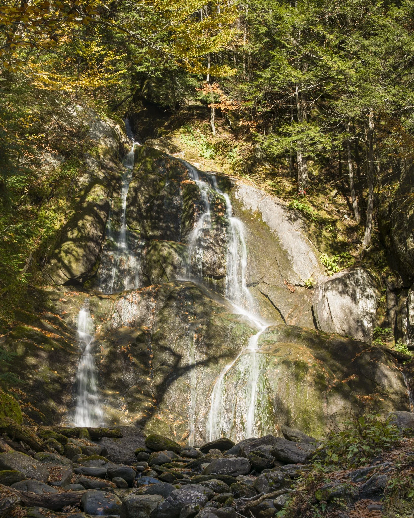 Falling water, moss, and dappled light.