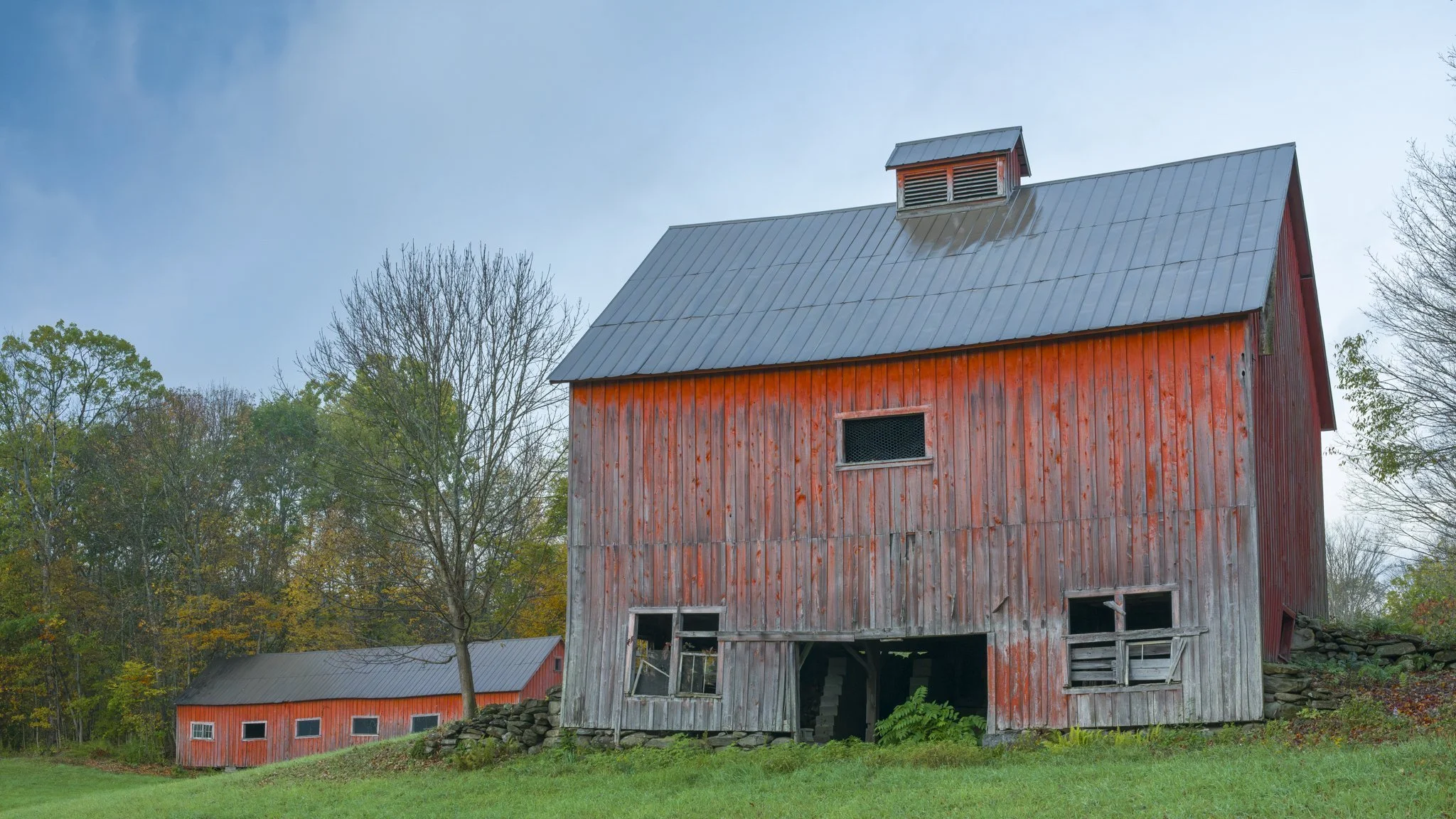 A weathered red barn, holding its color.
