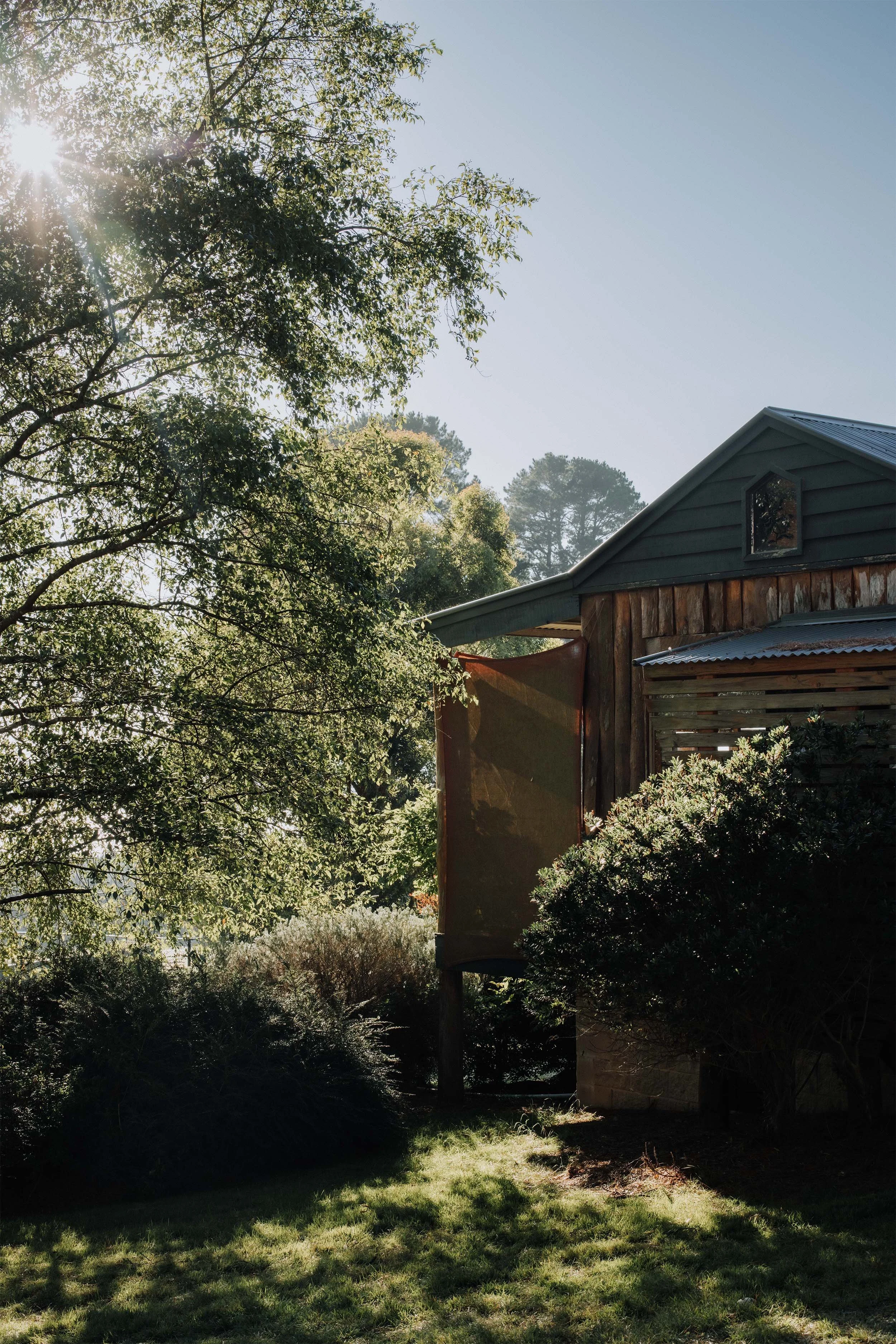 A house with a sloped roof and window, surrounded by green trees and shrubs, sunlight peeking through the leaves.