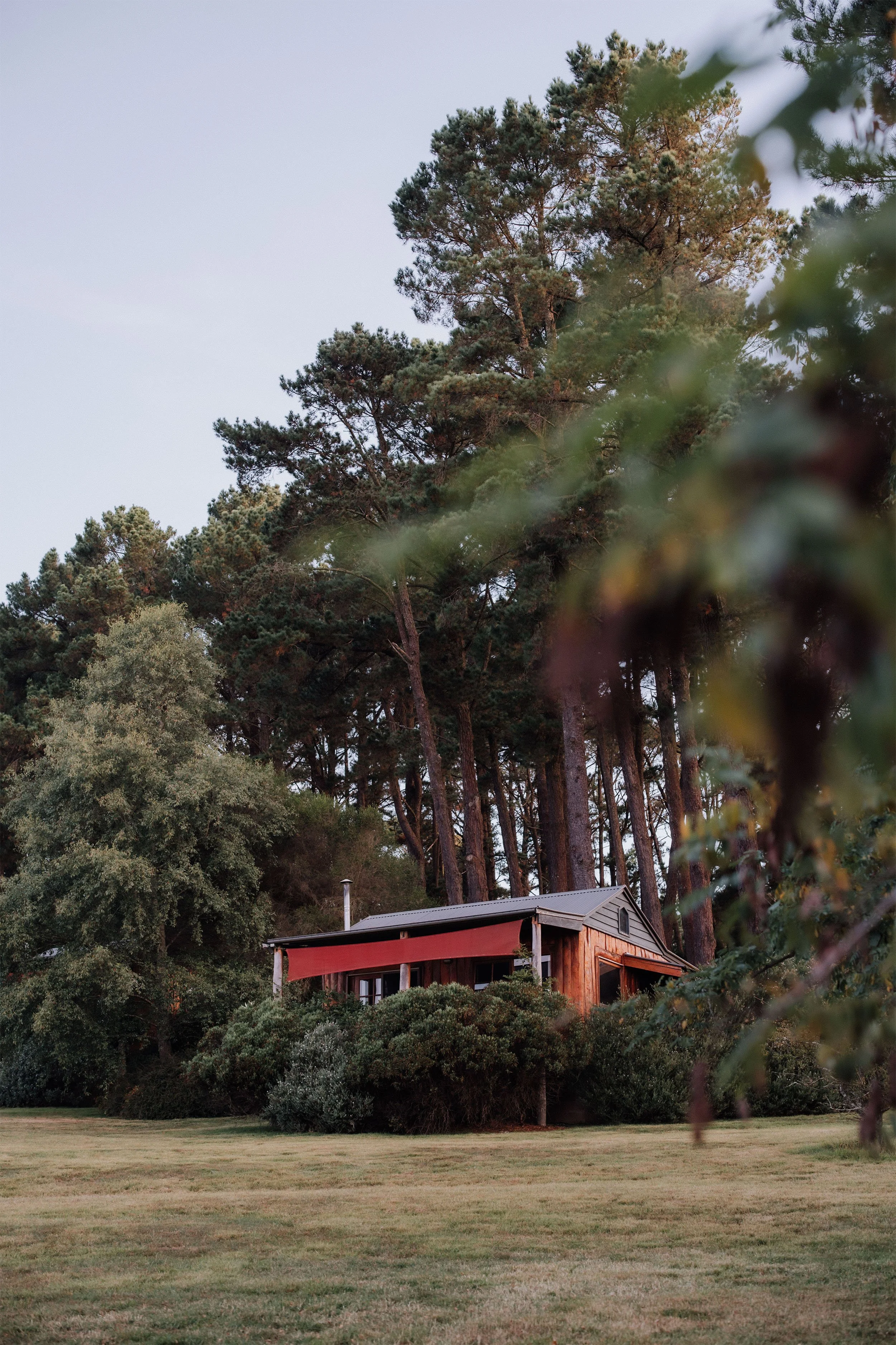 A small house with a red awning, situated on a hillside and surrounded by tall trees and shrubs, with a large open grassy area in the foreground.