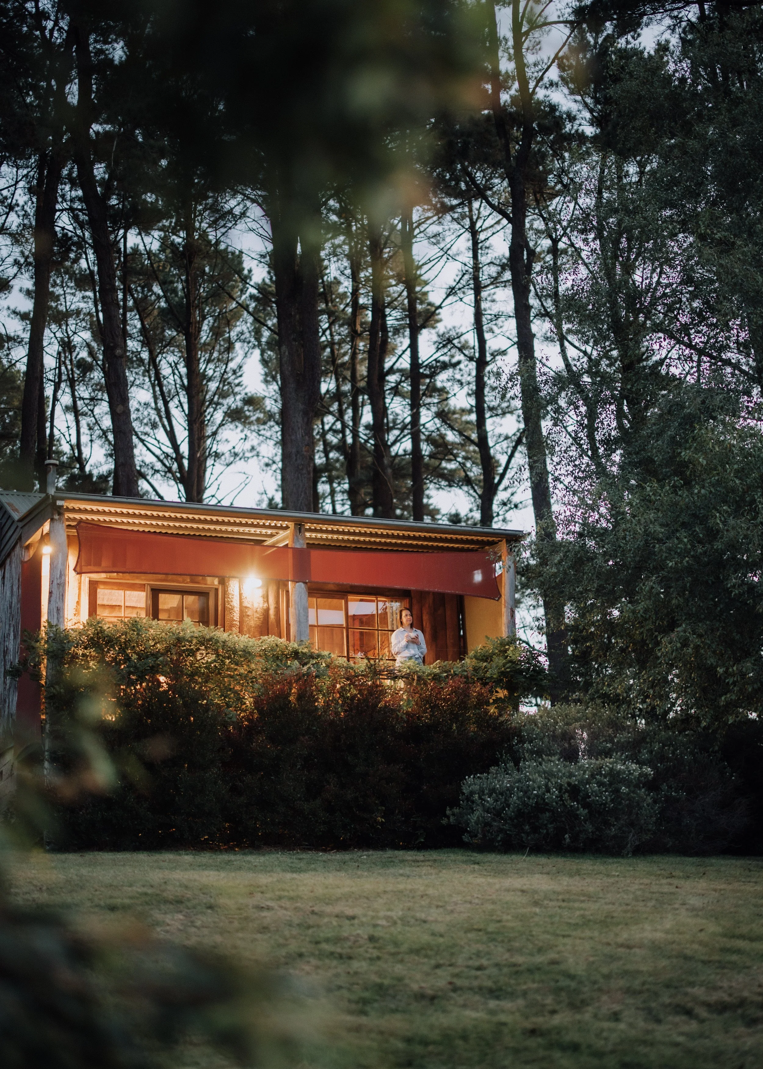 A person standing on a porch of a house with string lights during dusk, surrounded by trees and bushes.