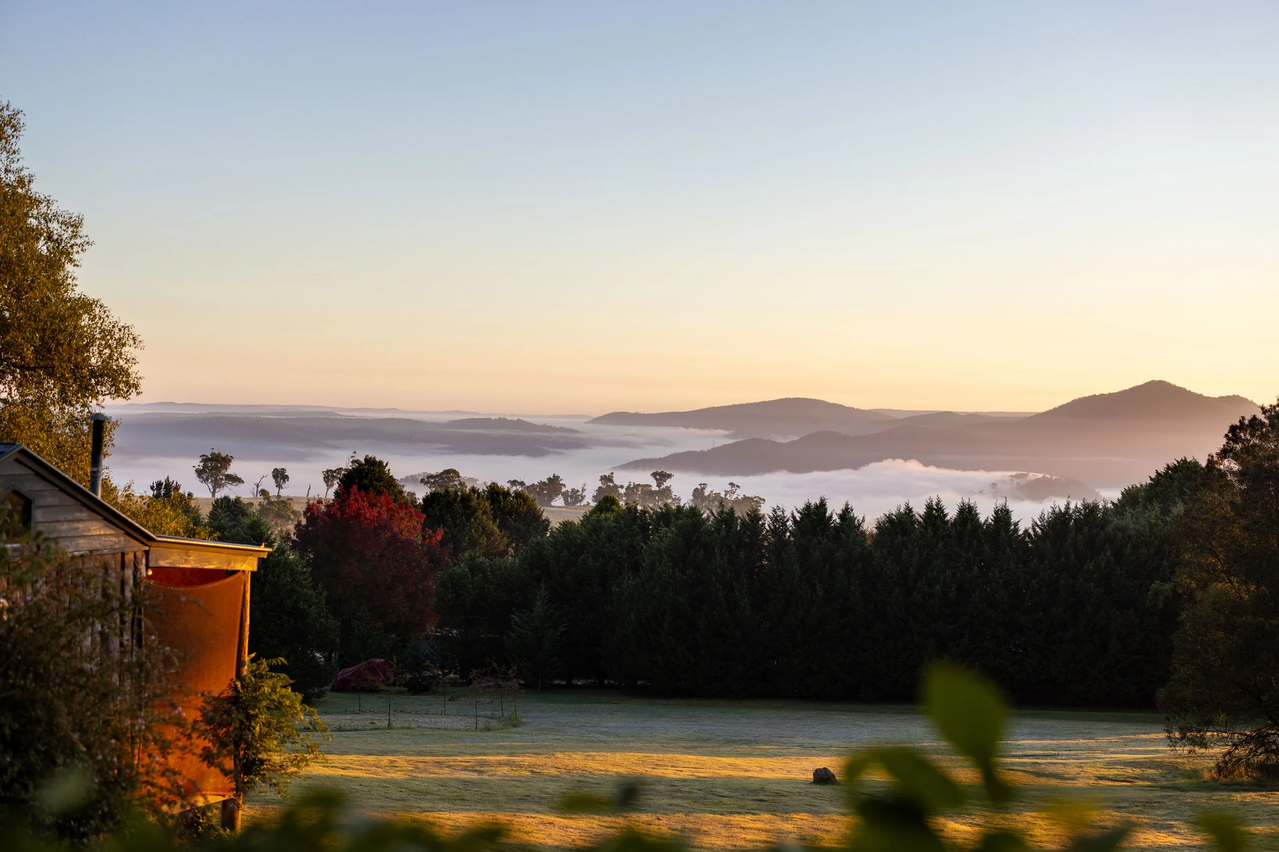 Scenic view of rolling hills over a foggy valley at sunrise or sunset, with trees and a house in the foreground.