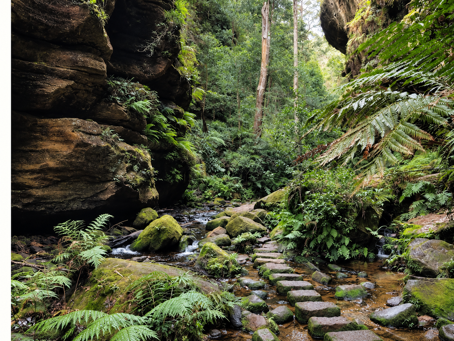 A lush green forest with dense foliage, moss-covered rocks in a shallow creek, and a narrow stepping stone path crossing the water, surrounded by tall trees and ferns.