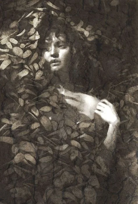 dryad.jpeg