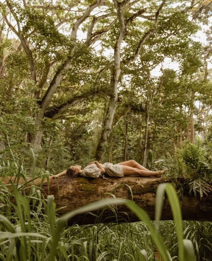 Spirit of the Forest: Nature Group Alchemy Circle