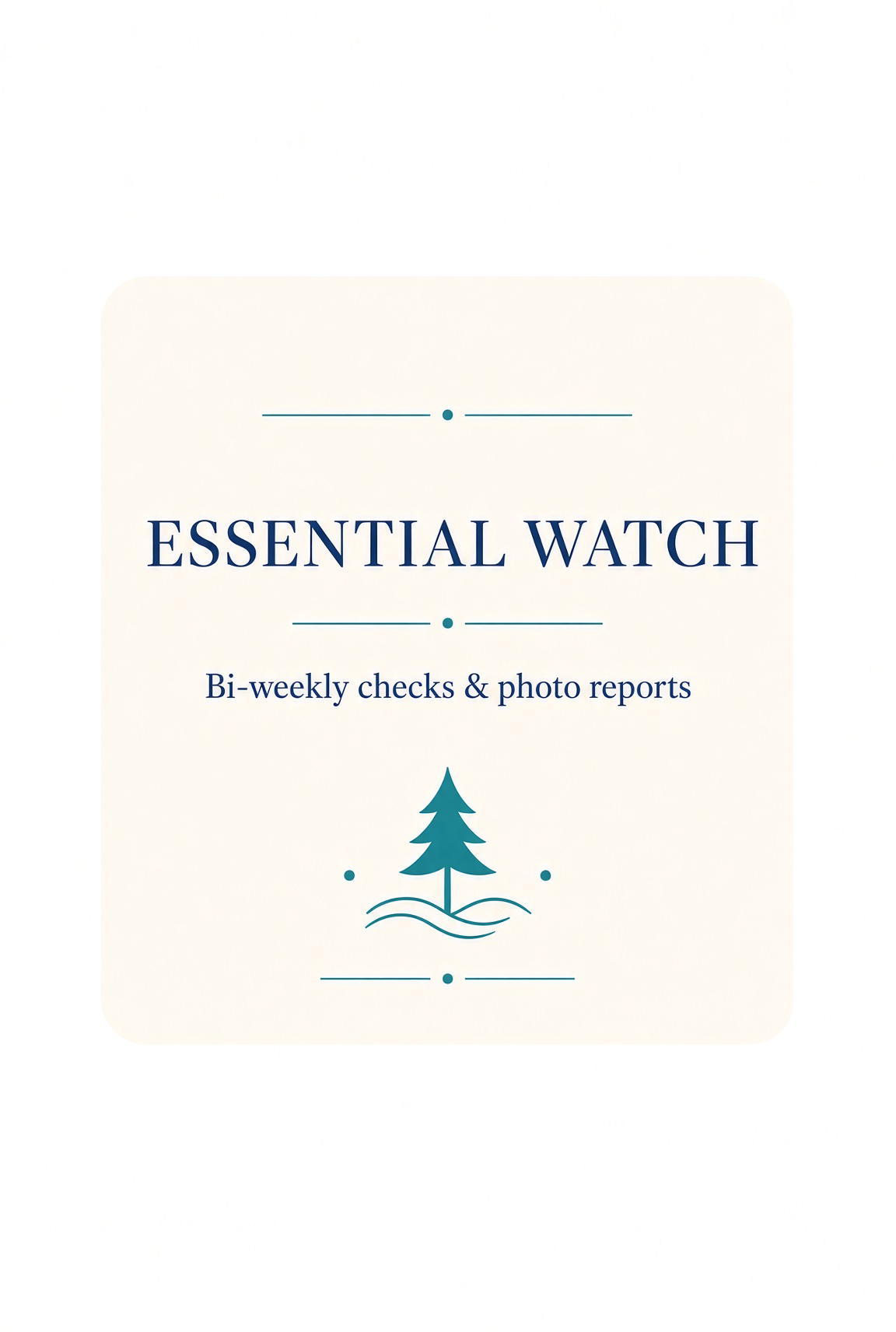 Essential Watch