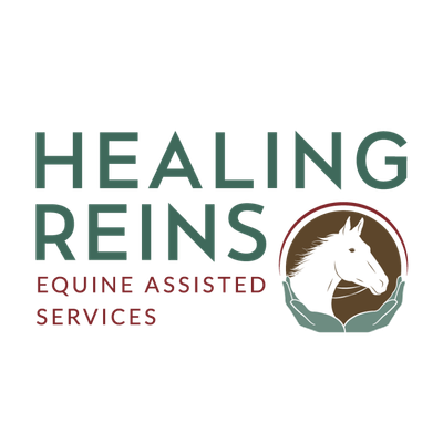 Healing Reins -Diamonds and Dust Annual Gala