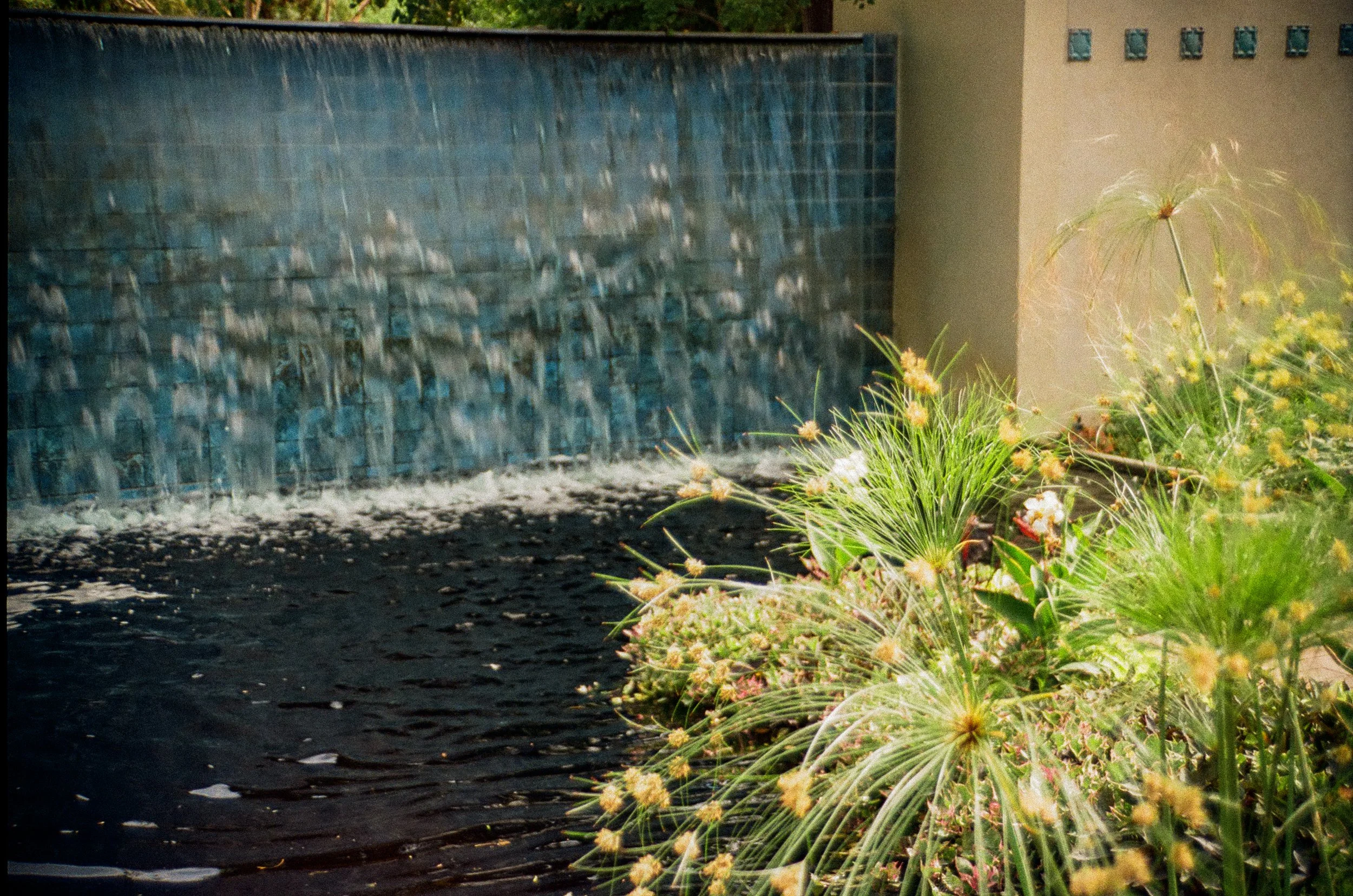 waterrr; 9/18/2026