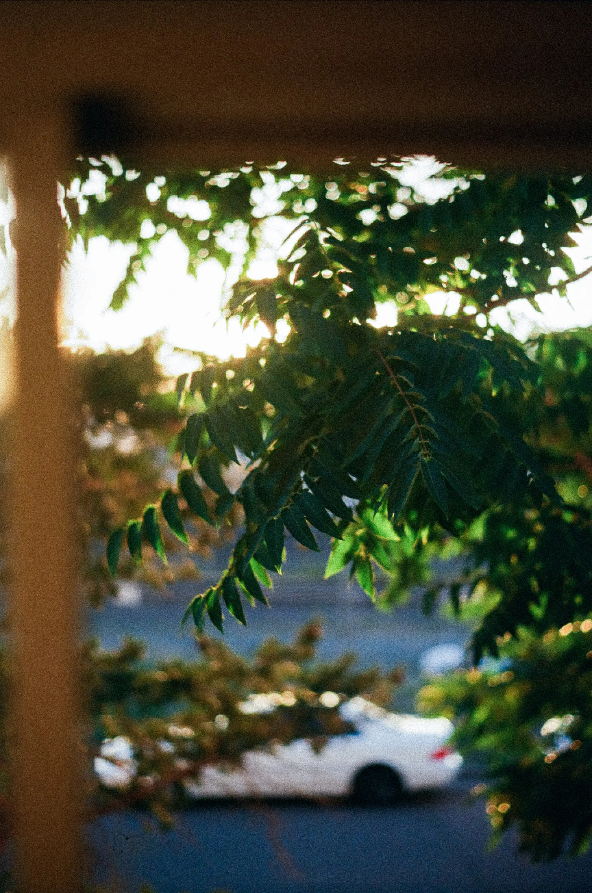 the view from the window i wake up to everyday; 9/??/2026