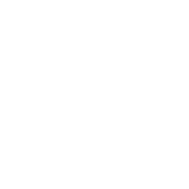 CxO Coaching