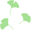 Four green ginkgo leaf icons arranged in a circular pattern.