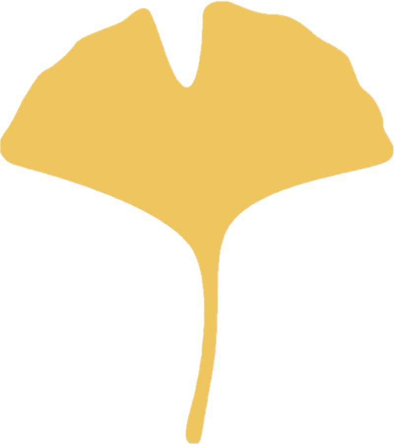 Simplified gold-colored illustration of a ginkgo leaf with distinctive fan shape and radiating veins.
