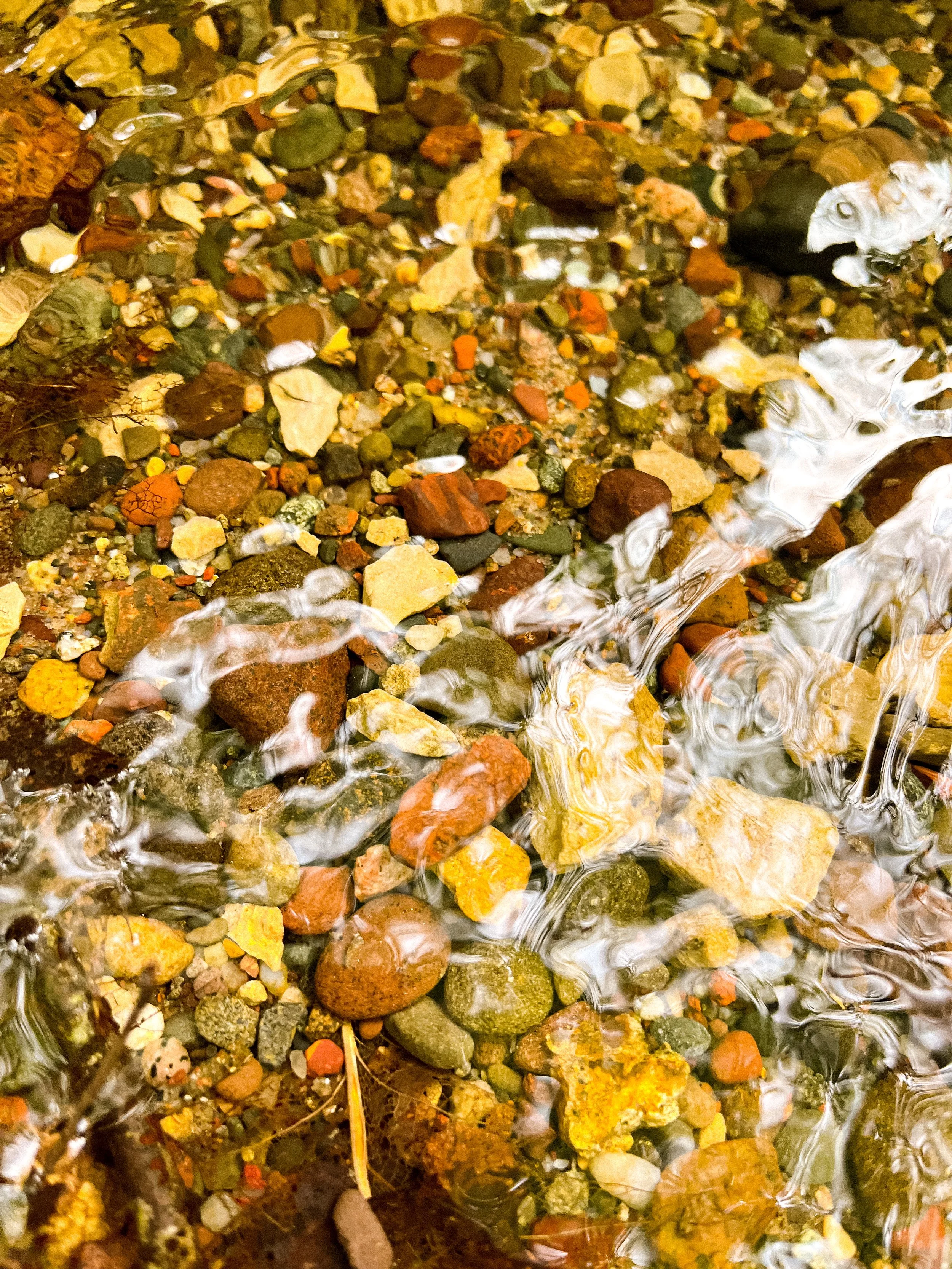 Close-up of multicolored small rocks and pebbles beneath shallow water.