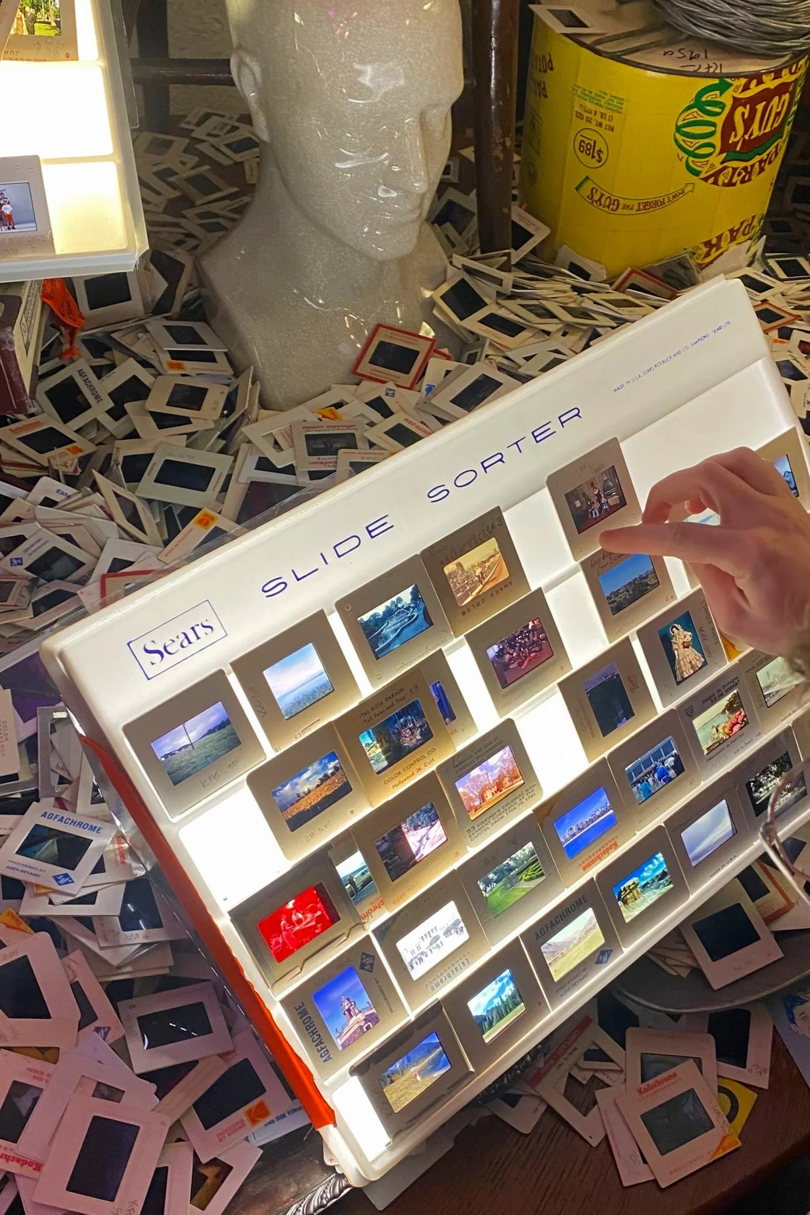 A display of vintage slide photographs organized in a white case labeled 'Slide Sorter.' Surrounding the case are numerous loose slides and a ceramic bust of a person's head, with a box of potato chips in the background.