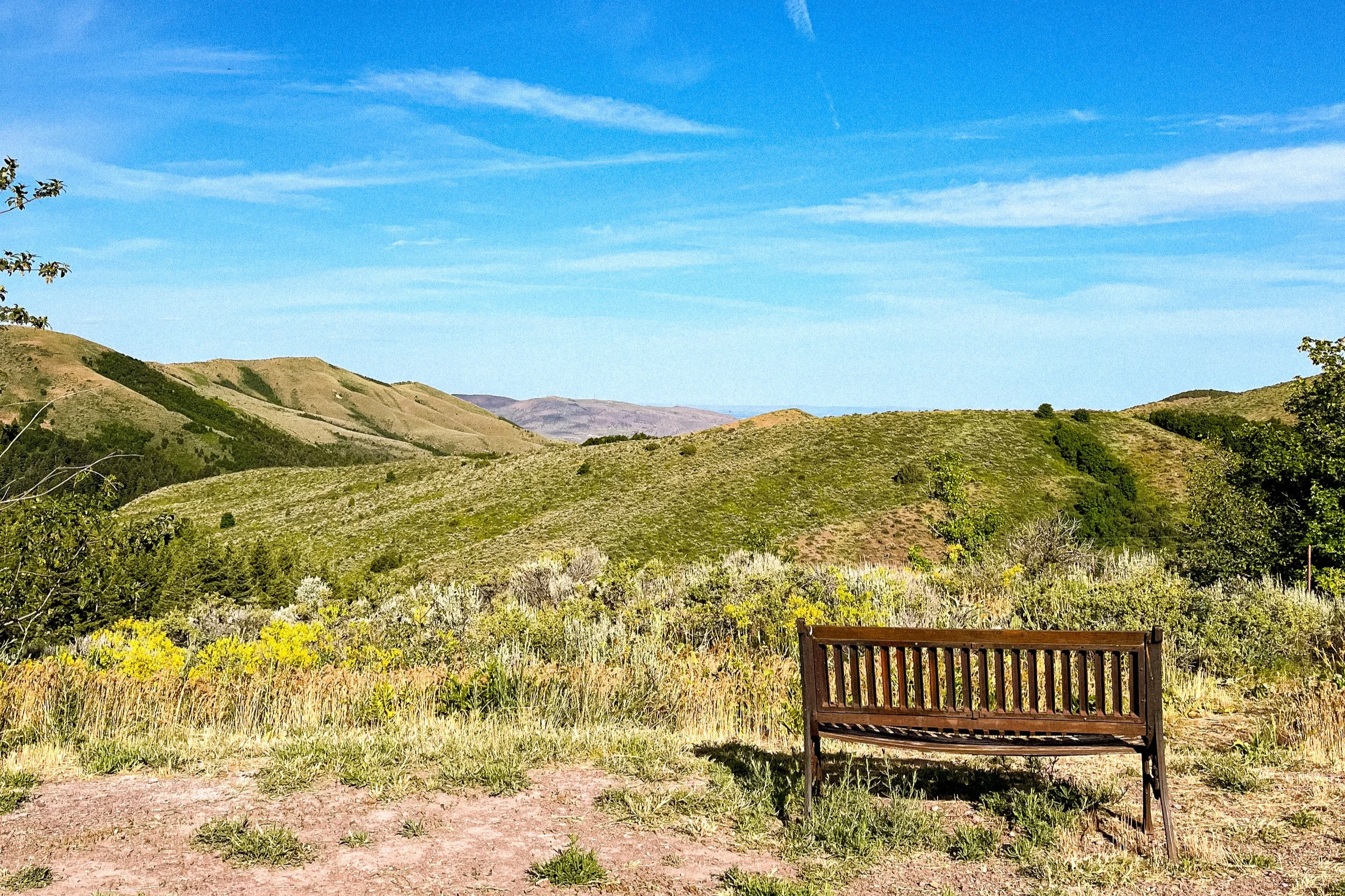 A landscape view of rolling green hills under a clear blue sky with sparse clouds. There are some bushes and trees in the foreground, and a wooden park bench on the right side.