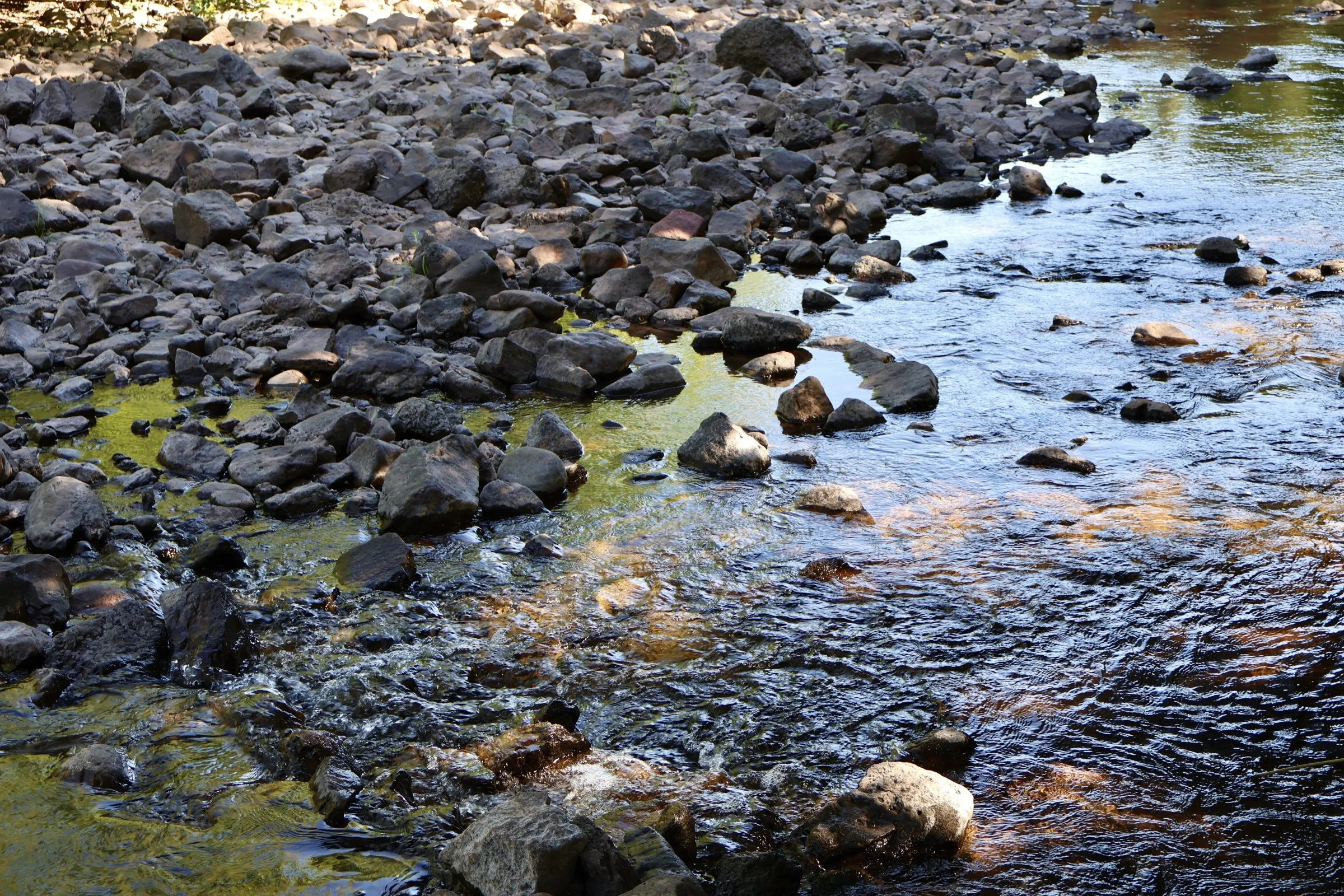 A close-up of a rocky riverbank with clear water flowing over and around various sized stones and pebbles, with sunlight reflecting on the water.