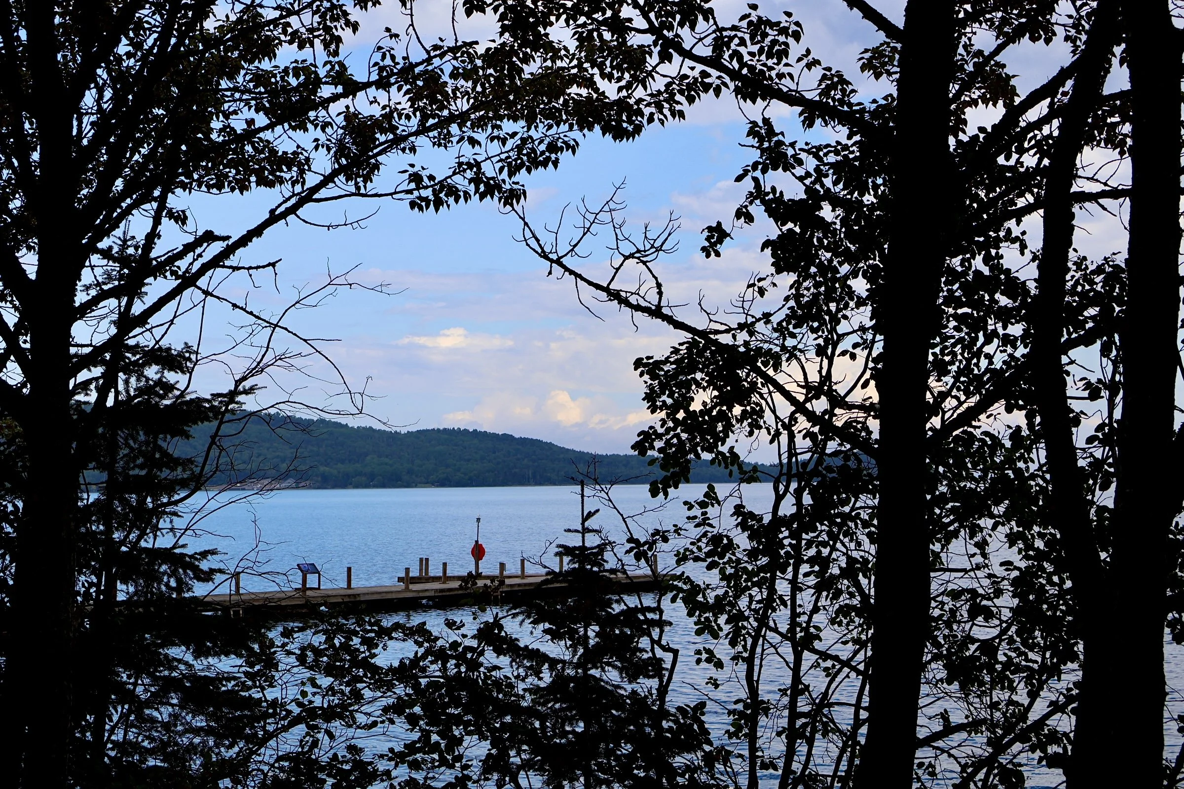View of a lake through trees with leaves, a dock and a shoreline with hills in the background under a partly cloudy sky.