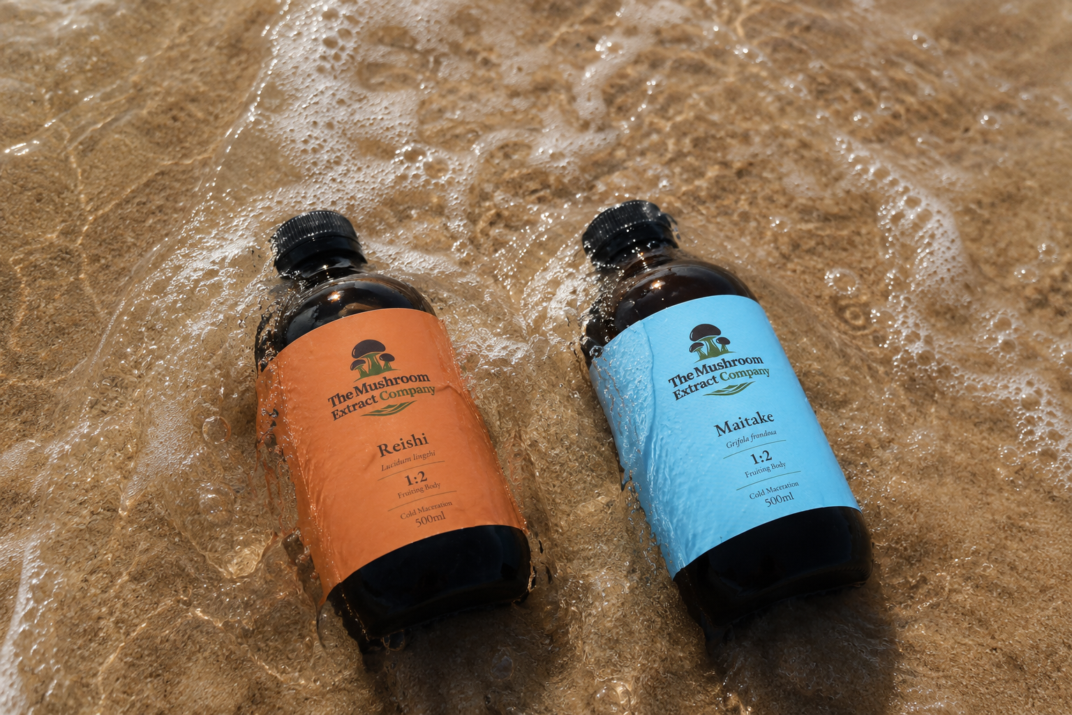 Two bottles of mushroom extract lying on sandy beach with waves washing over them. One bottle has a brown label, and the other has a blue label.