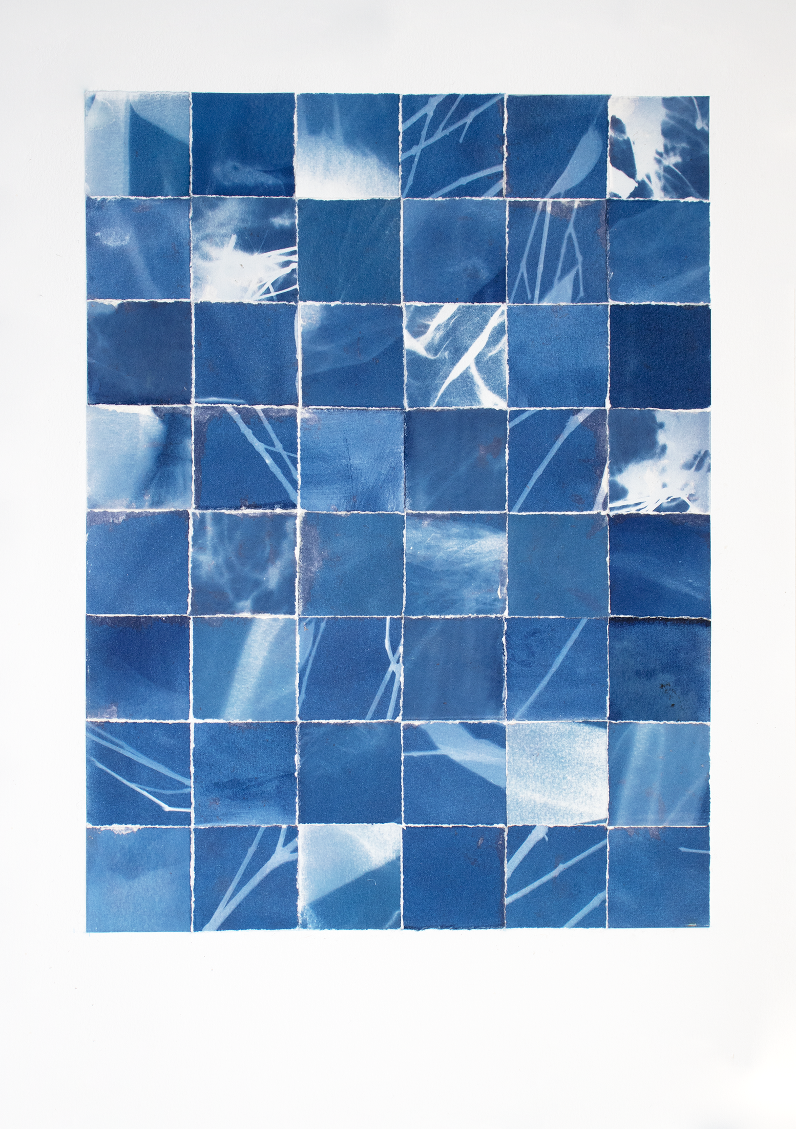 Cyanoscape VI, 2026, Cyanotype Collage on Paper Framed 56 x 43 
