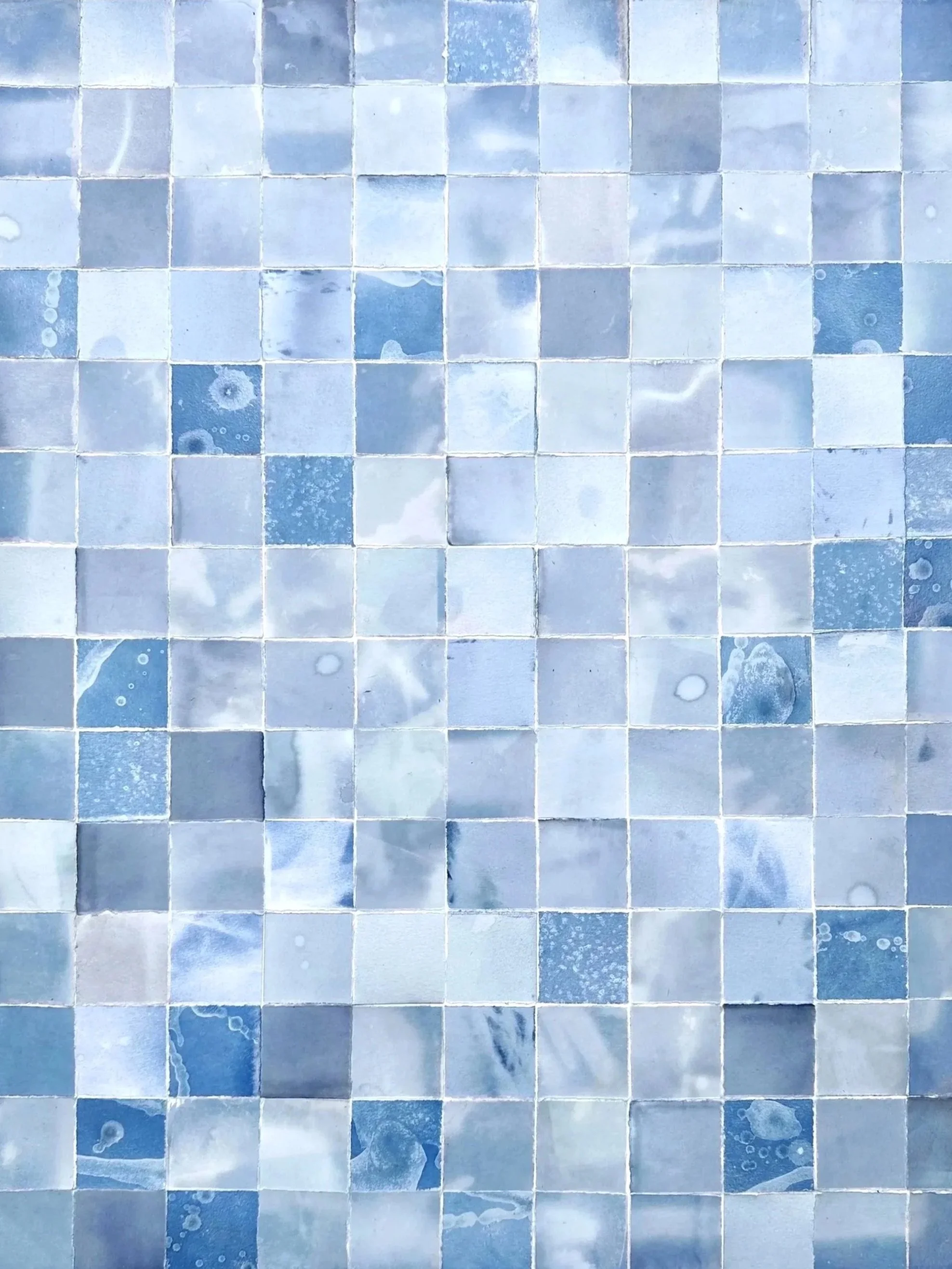 Cyanoscape: Cyanotype Collage