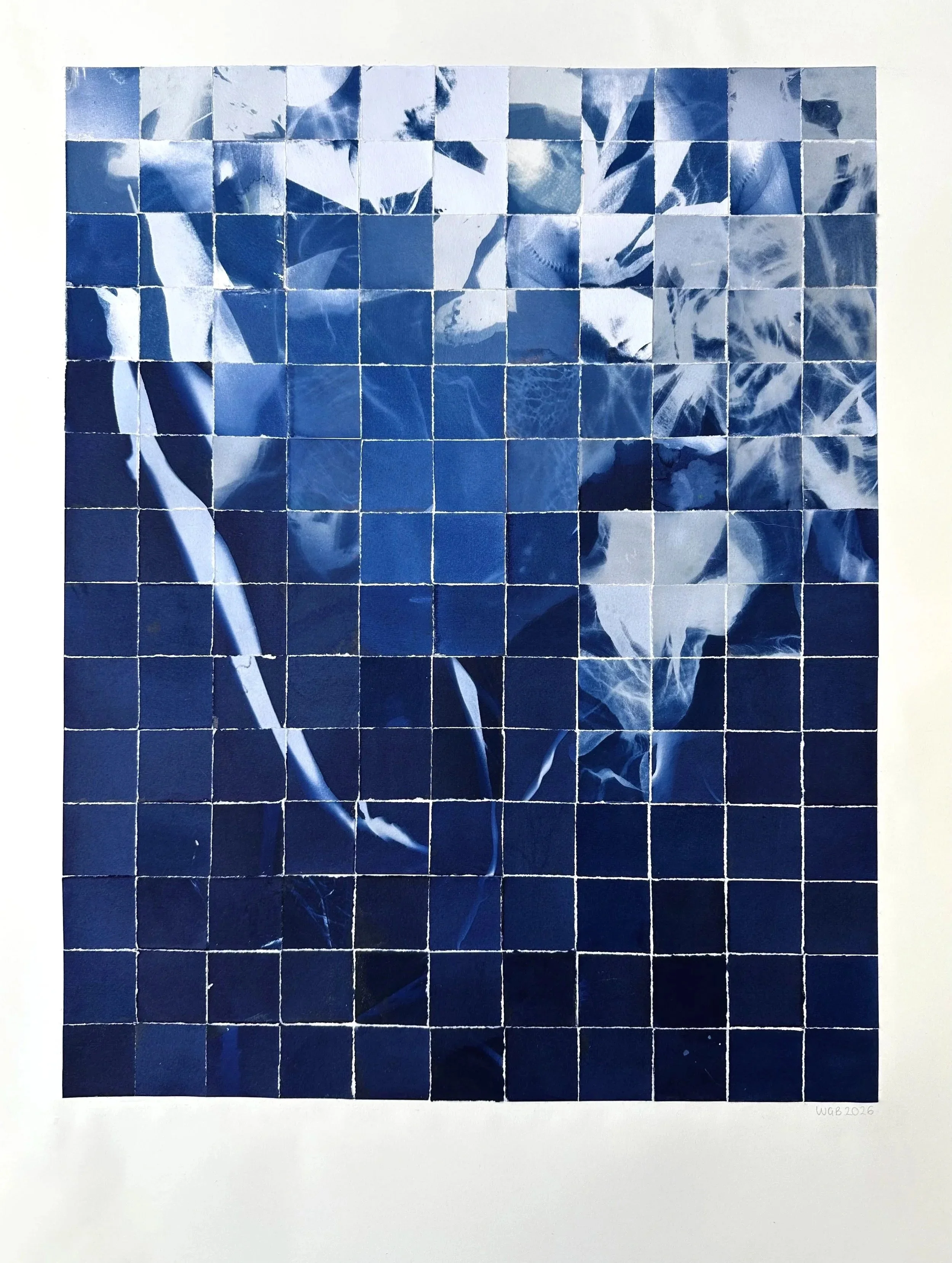 Into the Deep, Cyanotype Collage on Paper, 2026 Framed 96 x 75cm