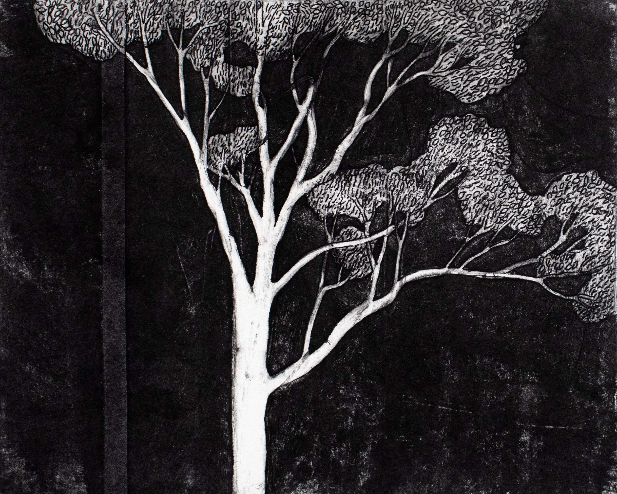 Lone Gum 

DryPoint Etching into a recycled Tetrapak Plate printed on Paper

35 x 40cm 

#print #landscape #artist #exhibit #etching