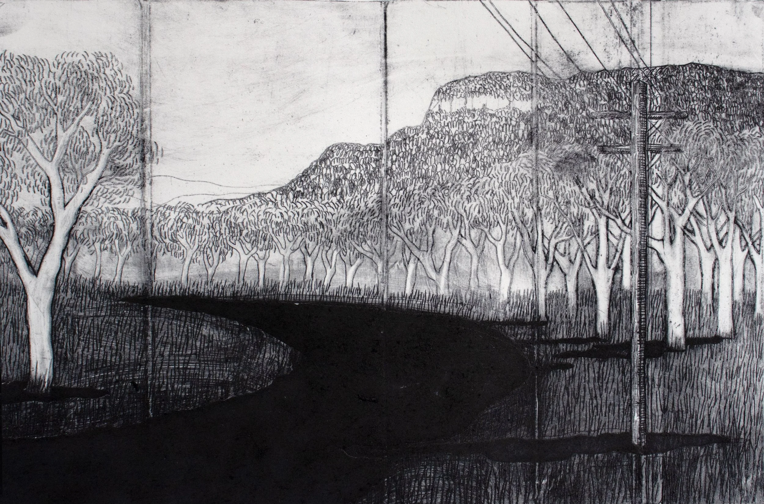 Megalong Valley 

DryPoint Etching into a recycled Tetrapak Plate printed on Paper

35 x 40cm 

#print #landscape #artist #exhibit #etching
