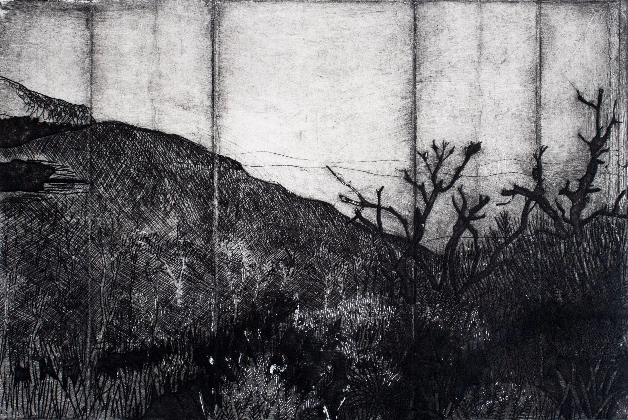 One of my works in the upcoming exhibit, &lsquo;Layers,&rsquo; by gallery Tiliqua Tiliqua @tiliquatiliqu in Enmore is my piece Mount Hay. Check it out from opening night Saturday 22nd August! 

Mount Hay 2026

DryPoint Etching into a recycled milk ca