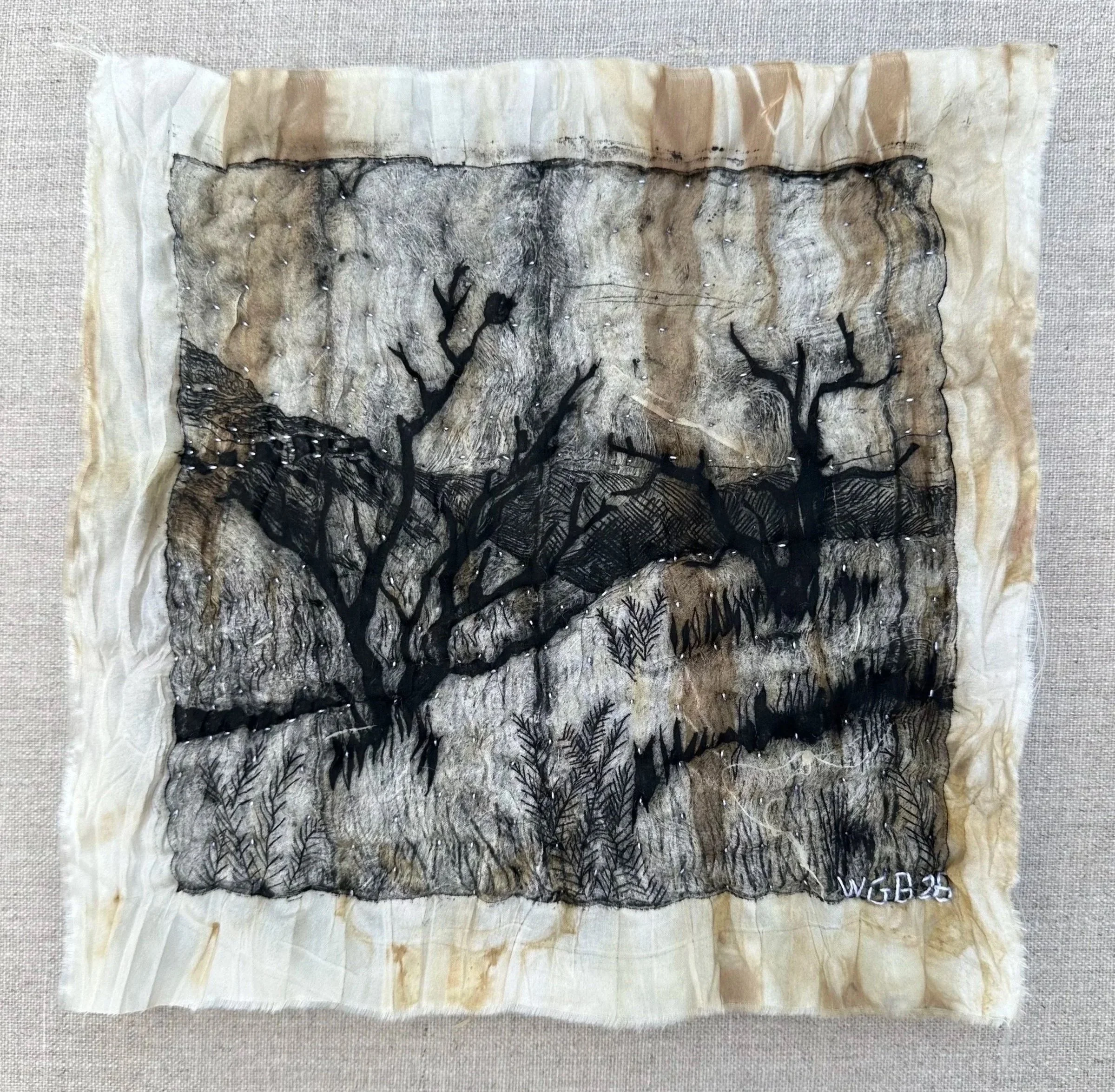 Banskia II, 2026 Tetrapak Print on Silk on Canvas 30. 5 x 30.5 