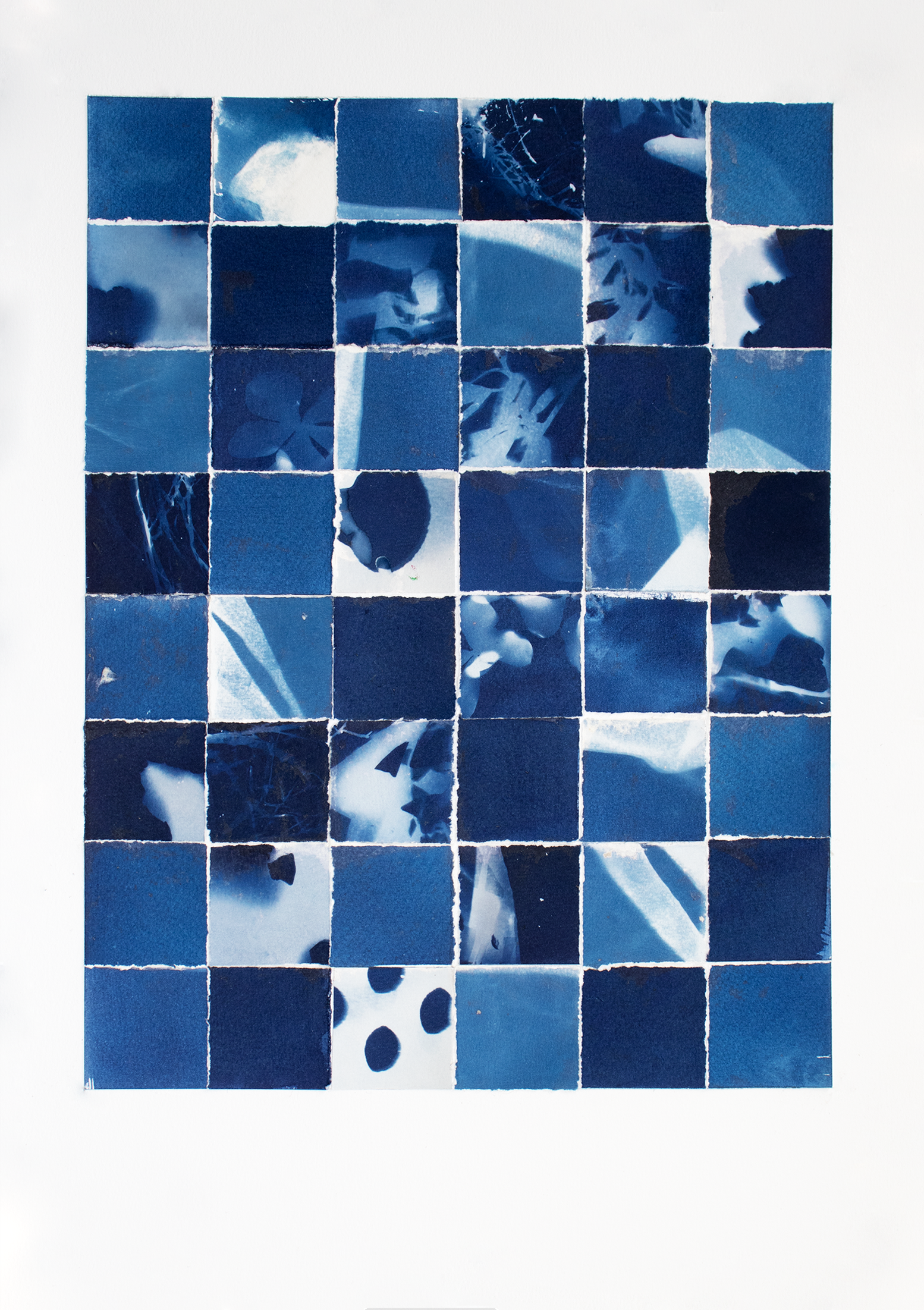 Cyanoscape II, 2026, Cyanotype Collage on Paper Framed 56 x 43 
