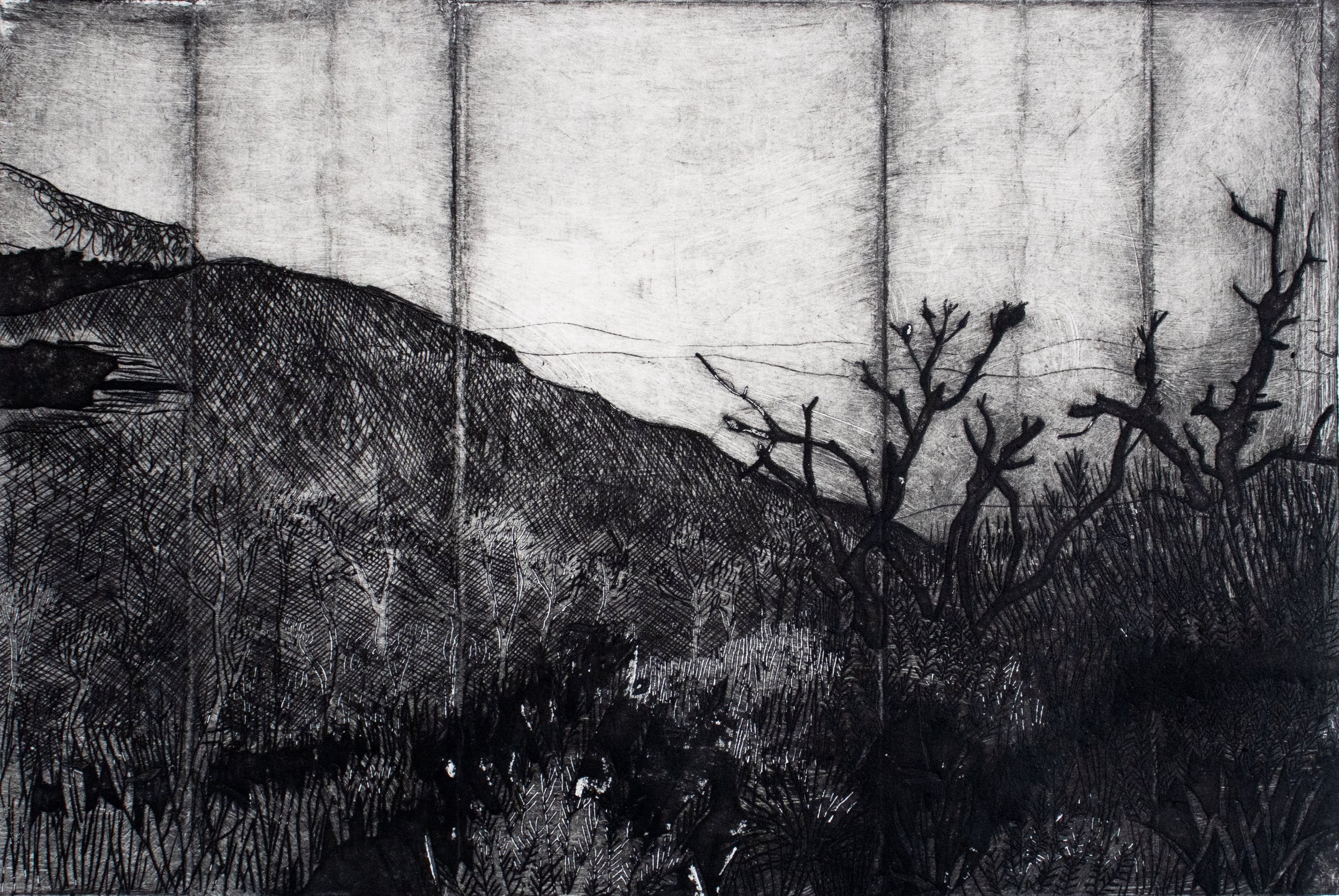 Still Standing: Tetrapak Prints on Paper