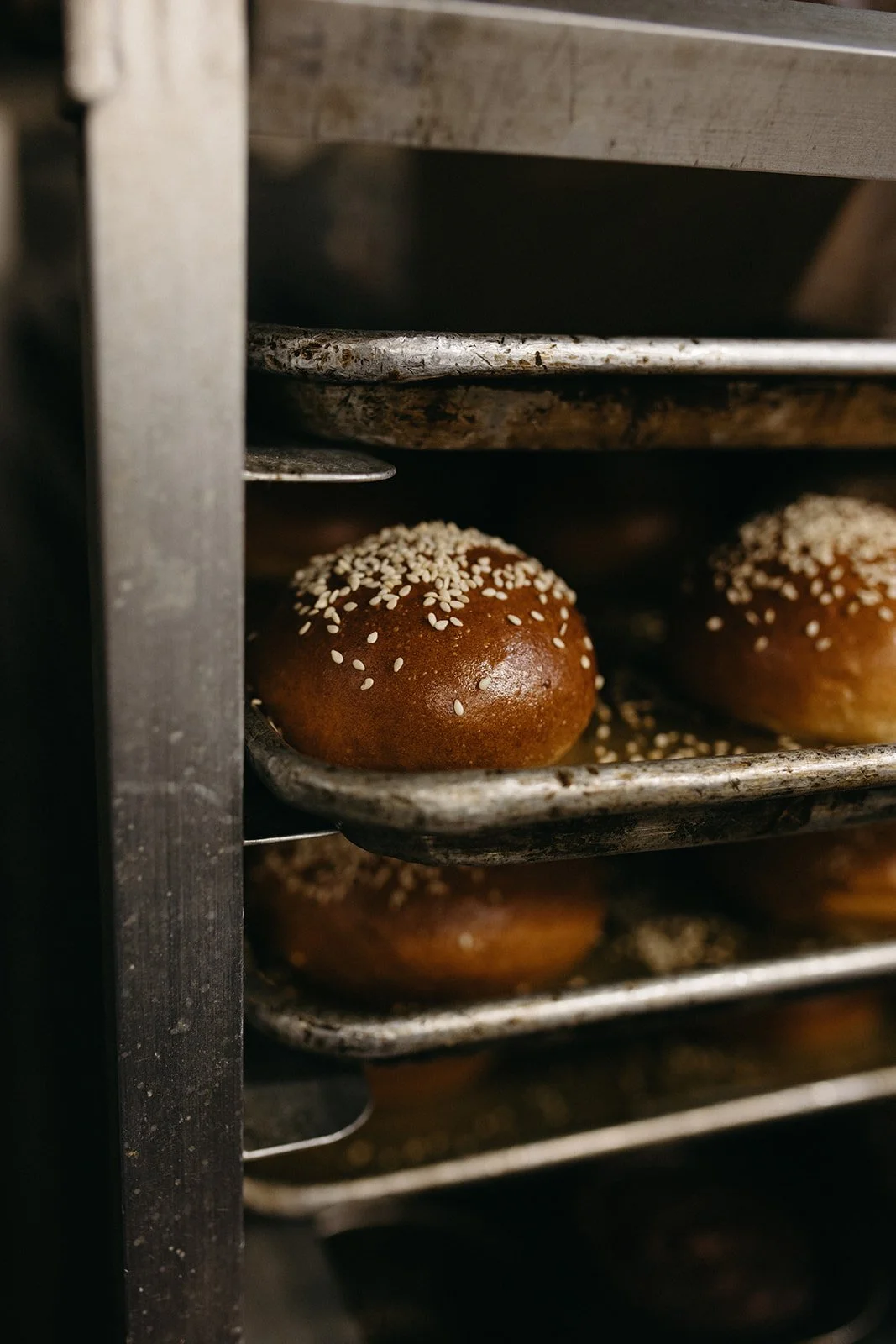 A tray of freshly baked sesame seed hamburger buns in a bakery oven.