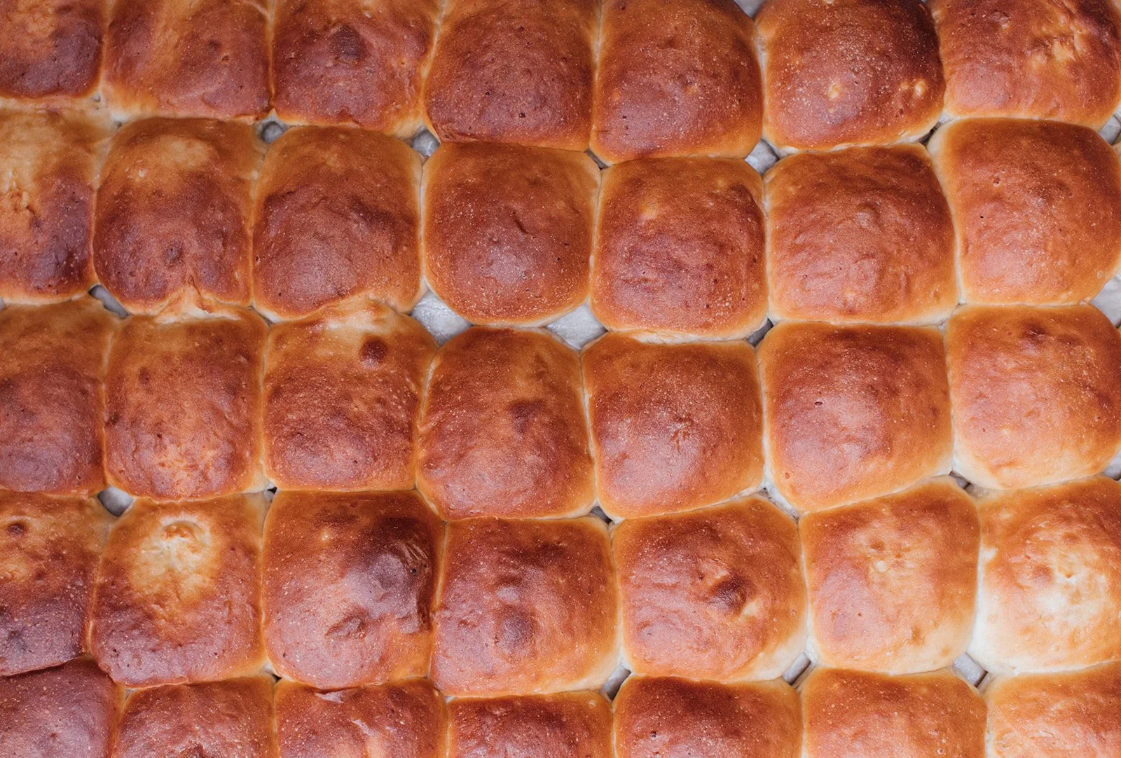 Close-up of a grid of freshly baked dinner rolls with shiny, golden-brown tops.
