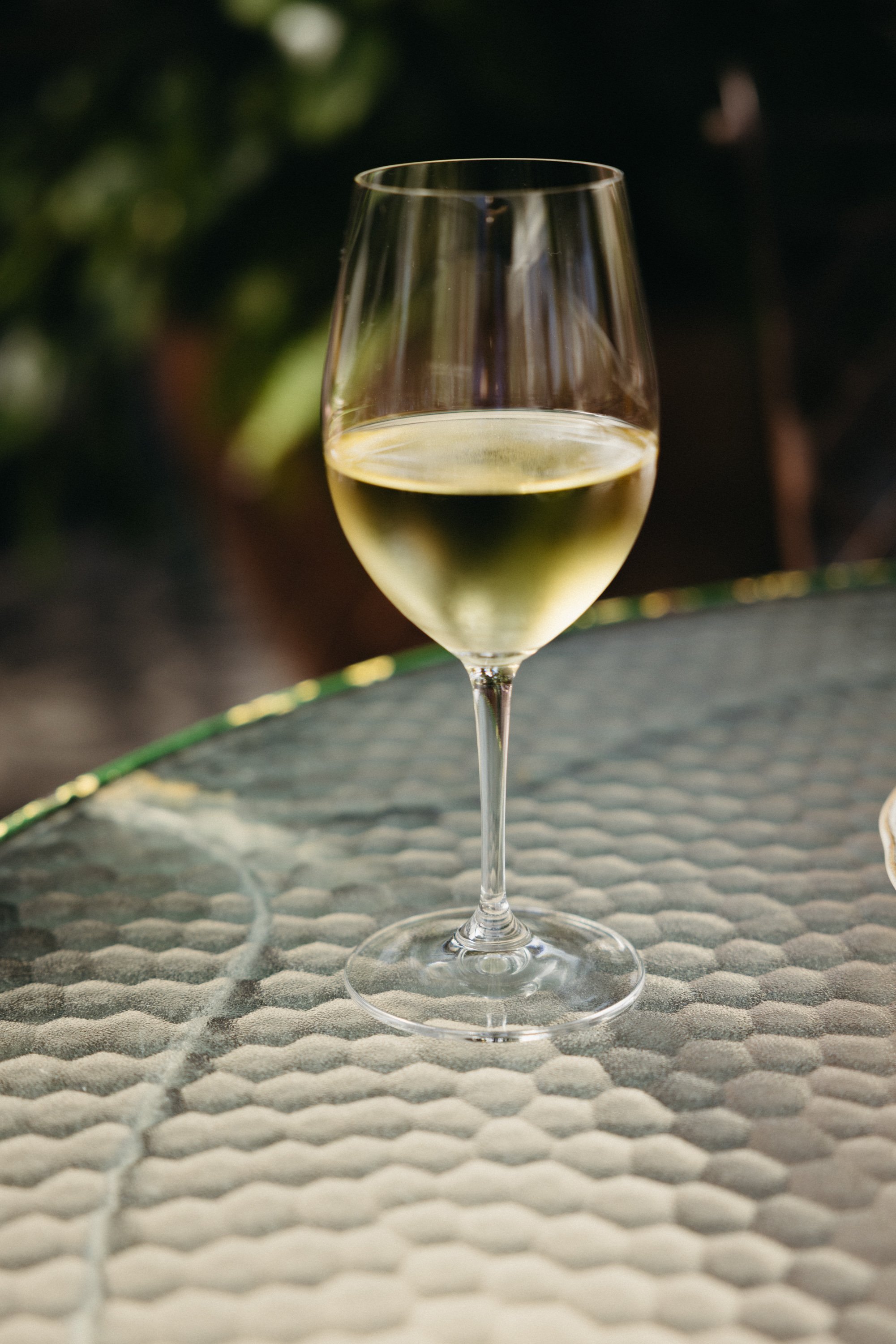 A glass of white wine on a textured surface with a blurred background of greenery.