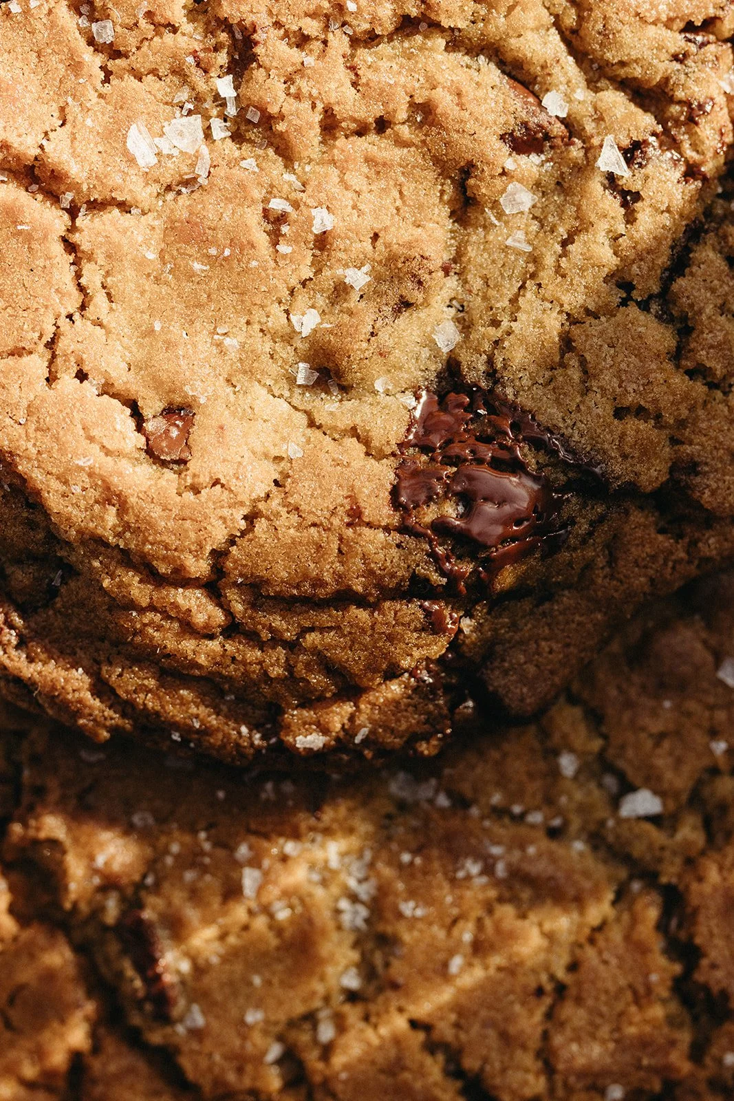 Close-up of a chocolate chip cookie with salt flakes on top.