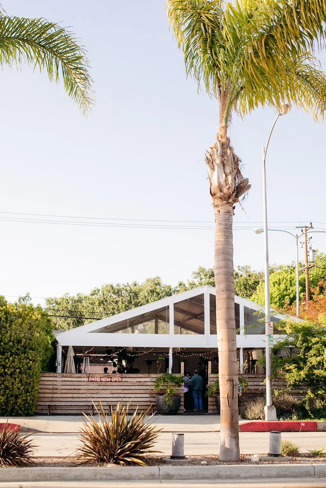 Outdoor restaurant patio with a white triangular roof, surrounded by palm trees and bushes, people standing near the entrance, and a sign that reads 'Patio Now Open'.
