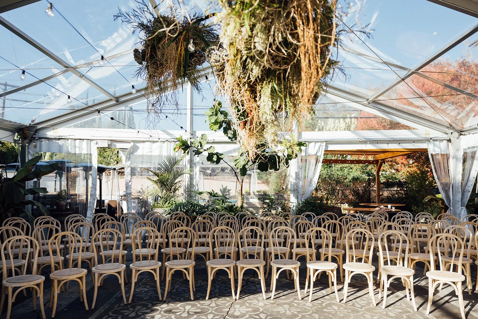 Indoor event space with rows of wooden chairs, hanging greenery and plants, and large glass ceiling with string lights inside a transparent tent.