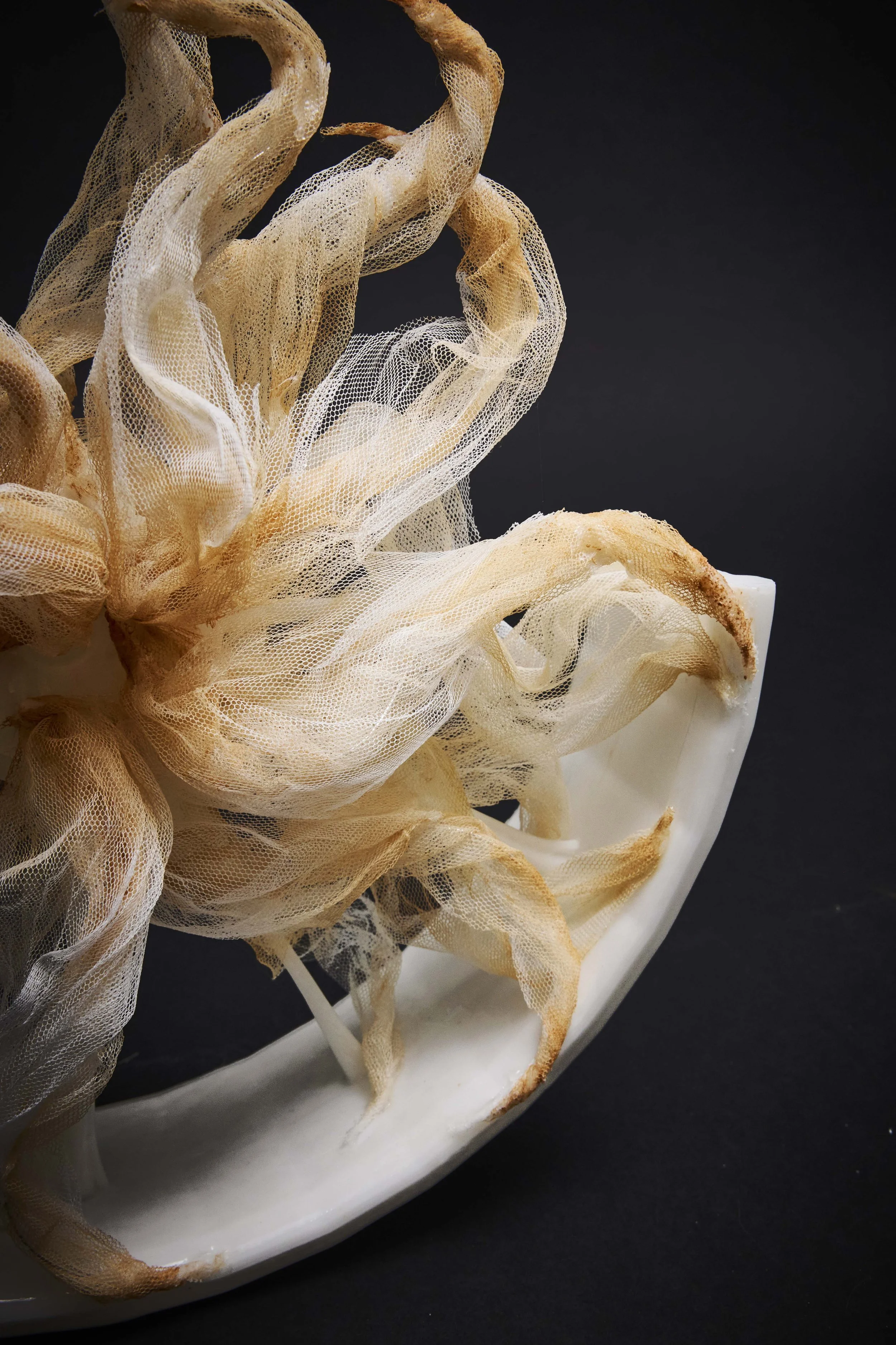 Close-up of beige and white lace or tulle fabric with intricate patterns, draped over a white ceramic or porcelain object against a black background.