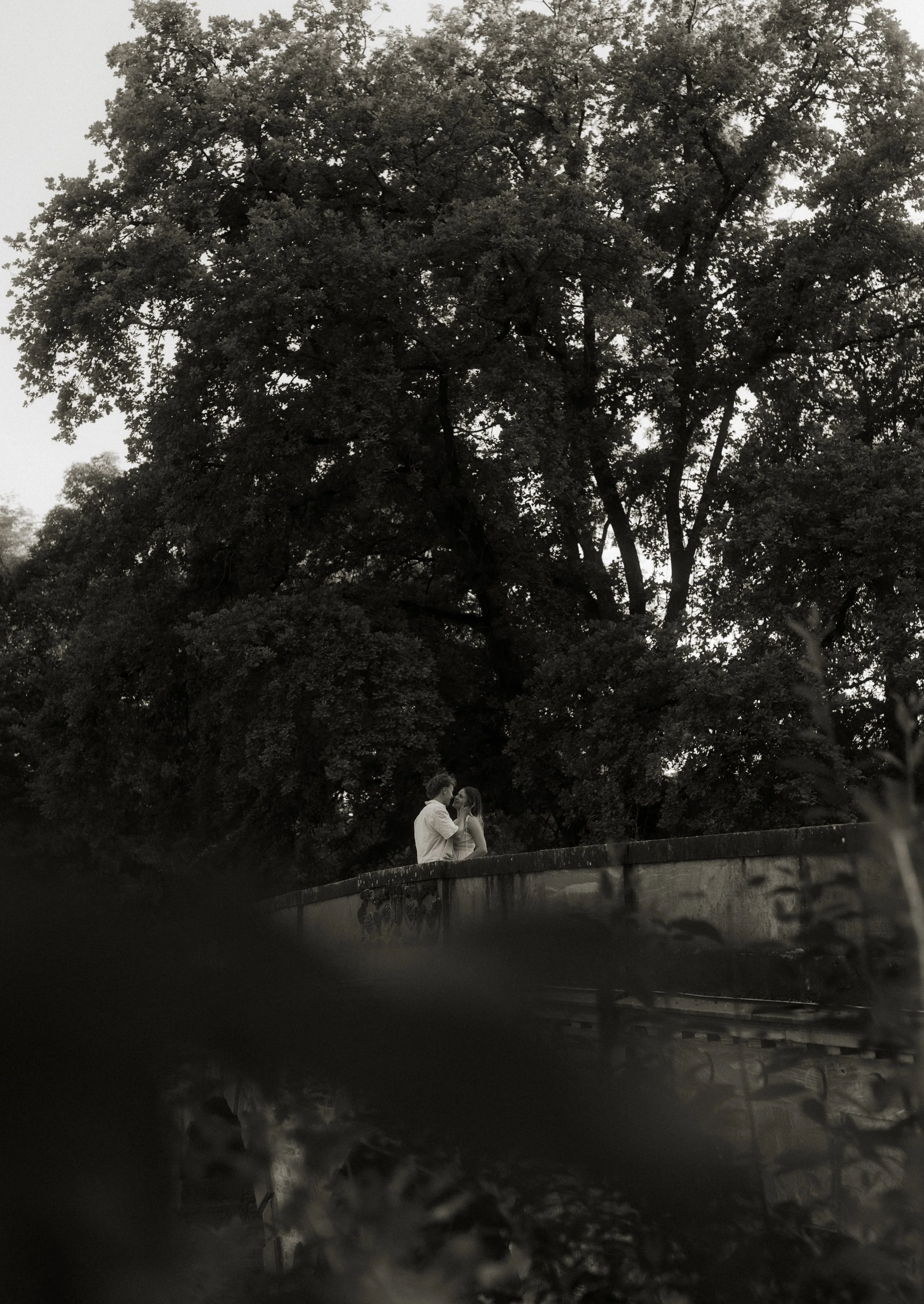 Ein verliebtes Paar steht auf einer Brücke unter einem großen Baum. Das Bild ist schwarz-weiß.