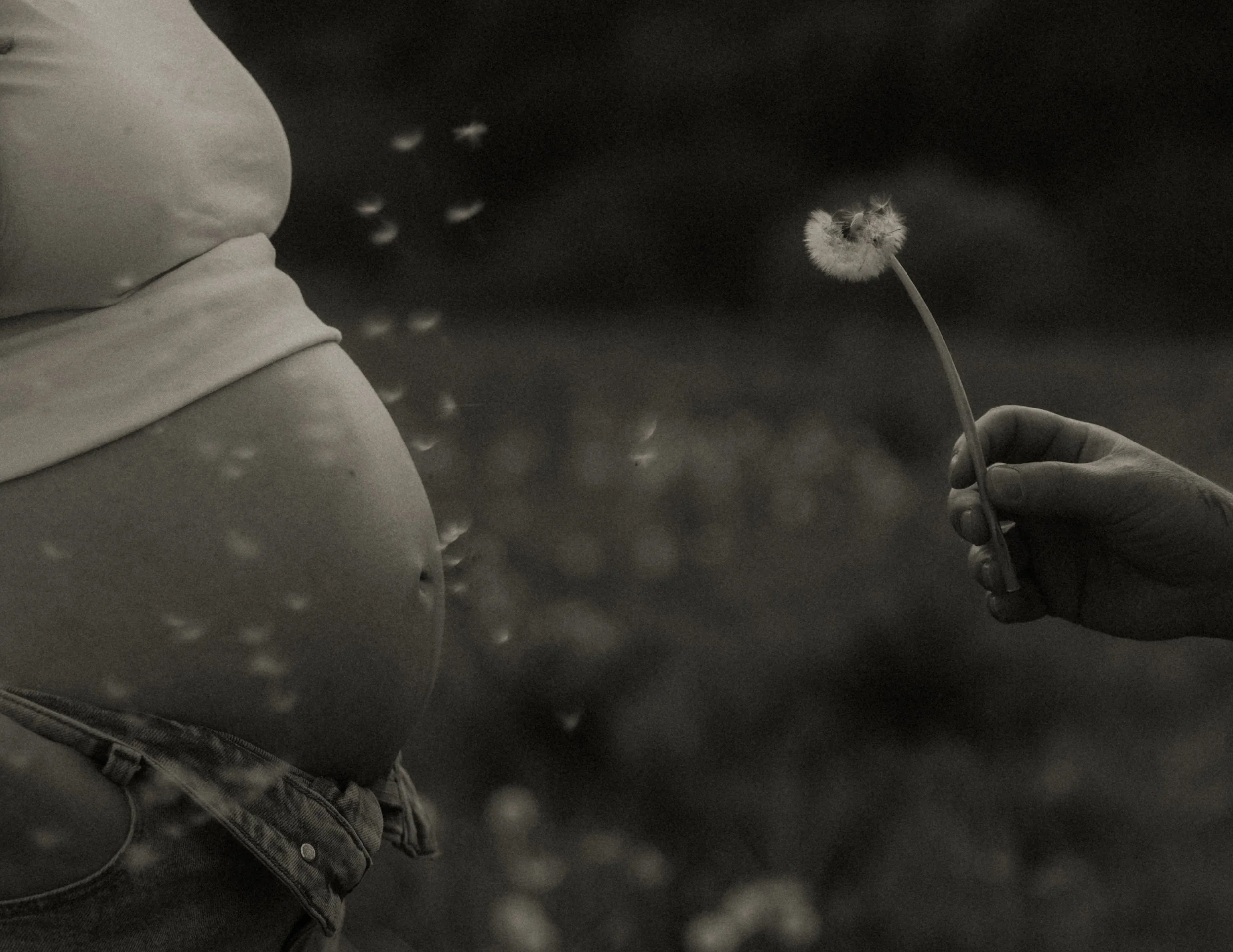 Nahaufnahme eines Menschen, der eine Pusteblume hält, im Hintergrund dunkler Raum, schwarz-weiß