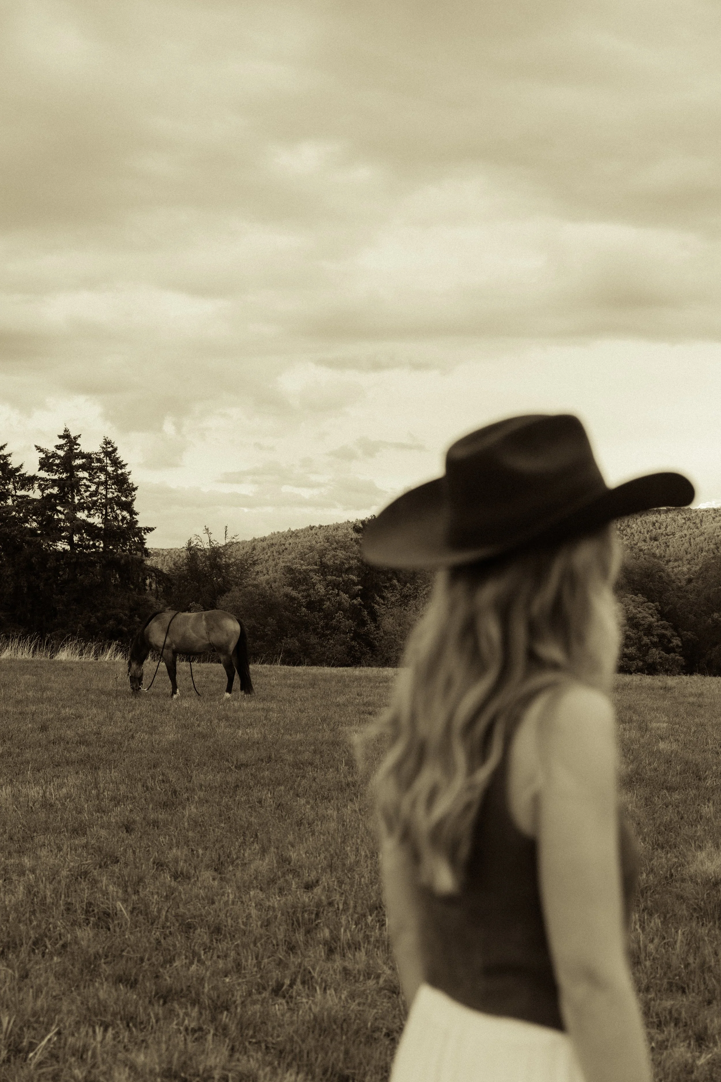 Eine Frau mit einem Cowboyhut, die aus einem Blickwinkel hinter ihr den Blick aufs Land und einige Pferde hat, mit einem bewölkten Himmel im Hintergrund.