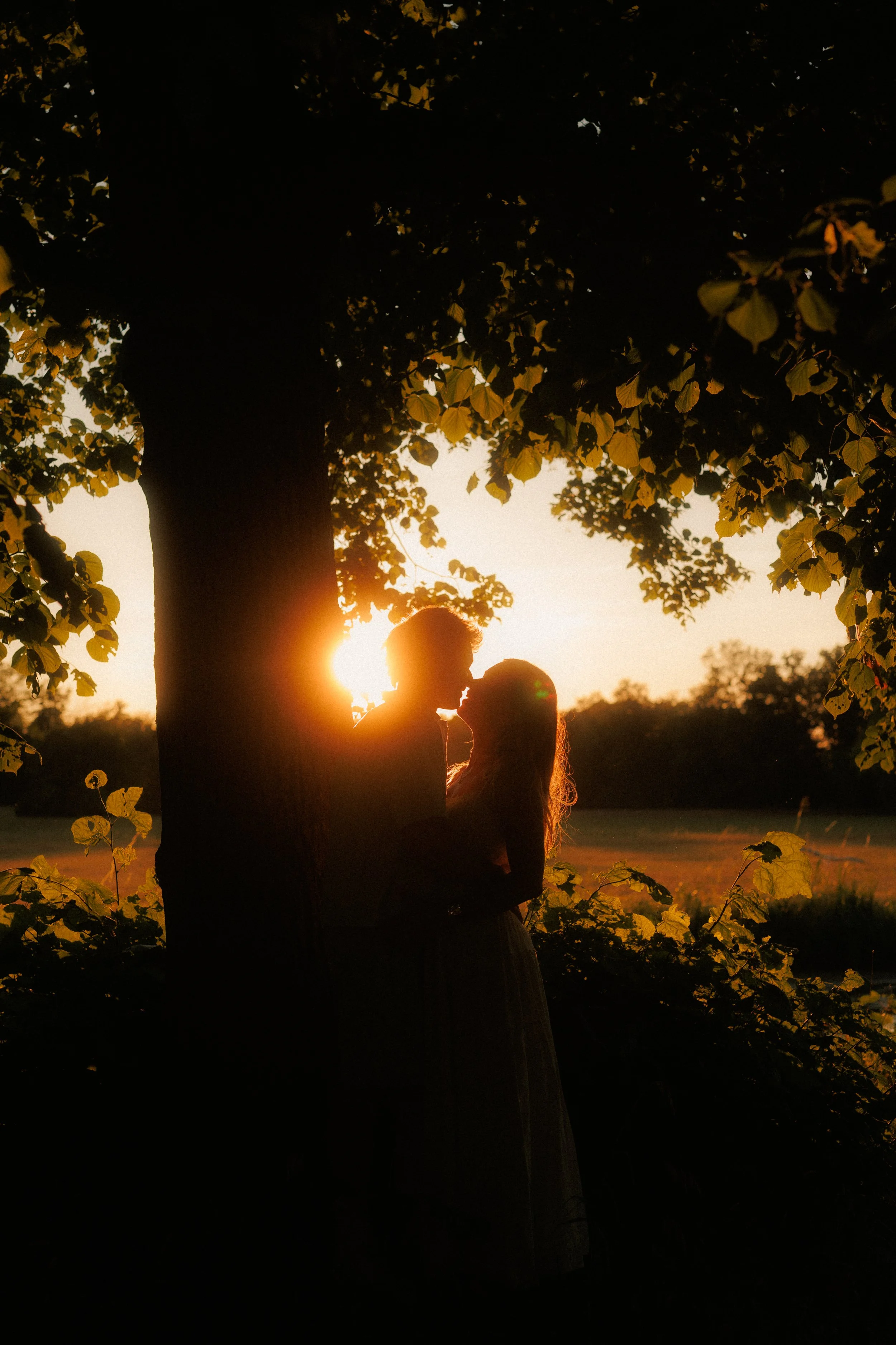 Ein Paar küsst sich im Sonnenuntergang hinter einem Baum im Freien.