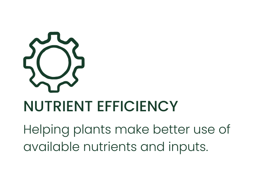 A graphic with a gear icon and the text 'Nutrient Efficiency' and a description 'Helping plants make better use of available nutrients and inputs'.