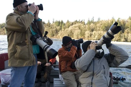 Group of wildlife photographers sitting in a boat on the river taking pictures.