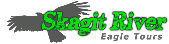 Skagit River Eagle Tours