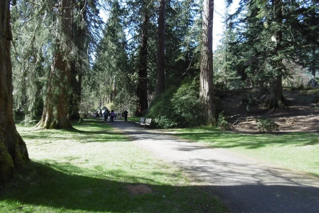 redwood-coffee-benmore-1.jpg